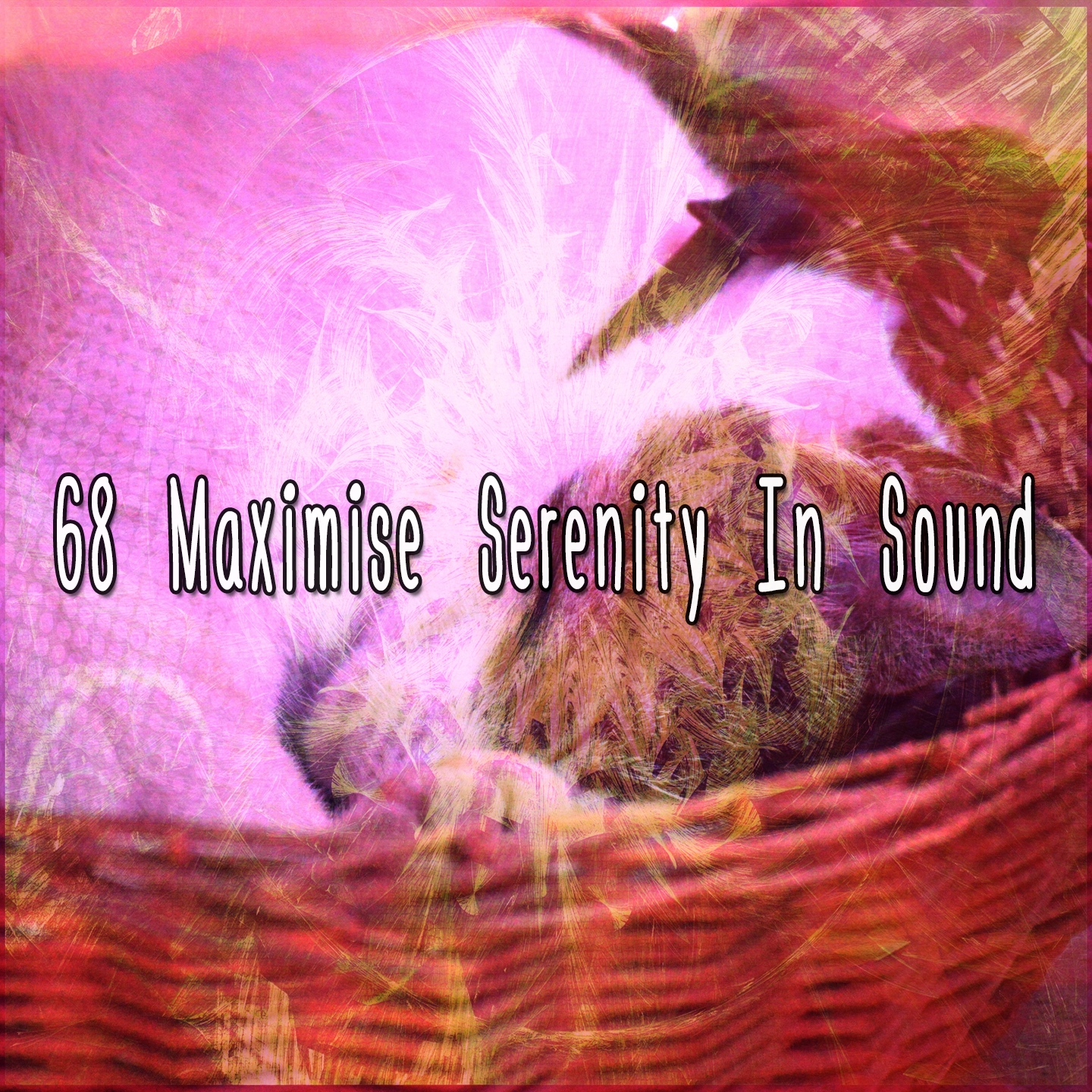 68 Maximise Serenity In Sound