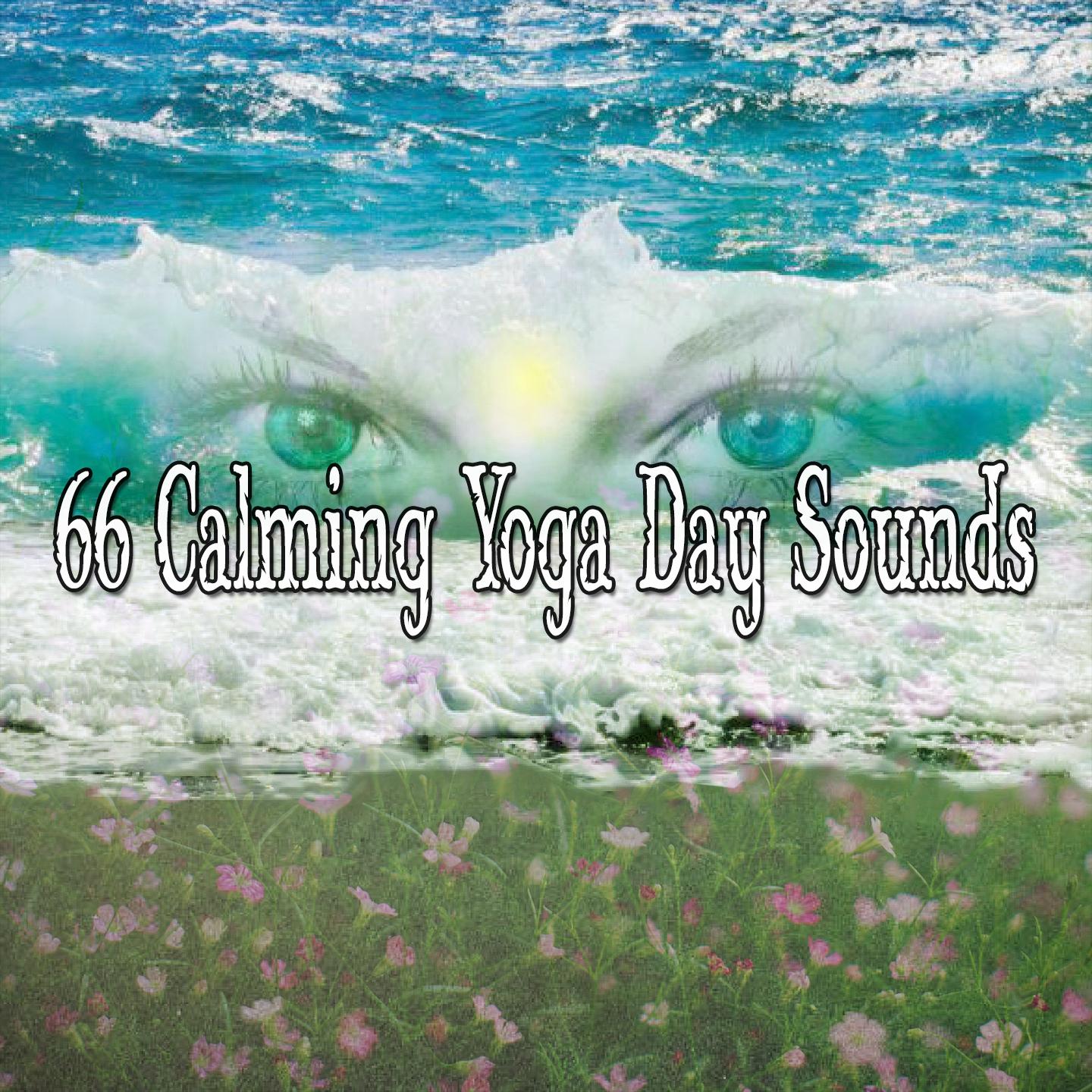 66 Calming Yoga Day Sounds