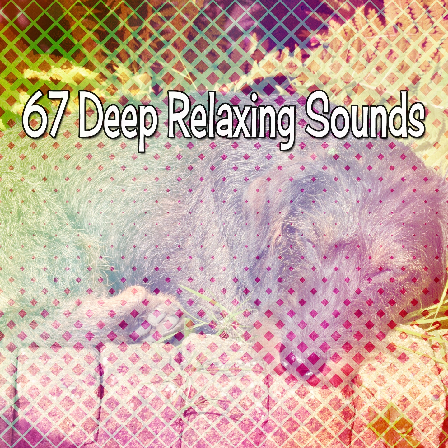 67 Deep Relaxing Sounds