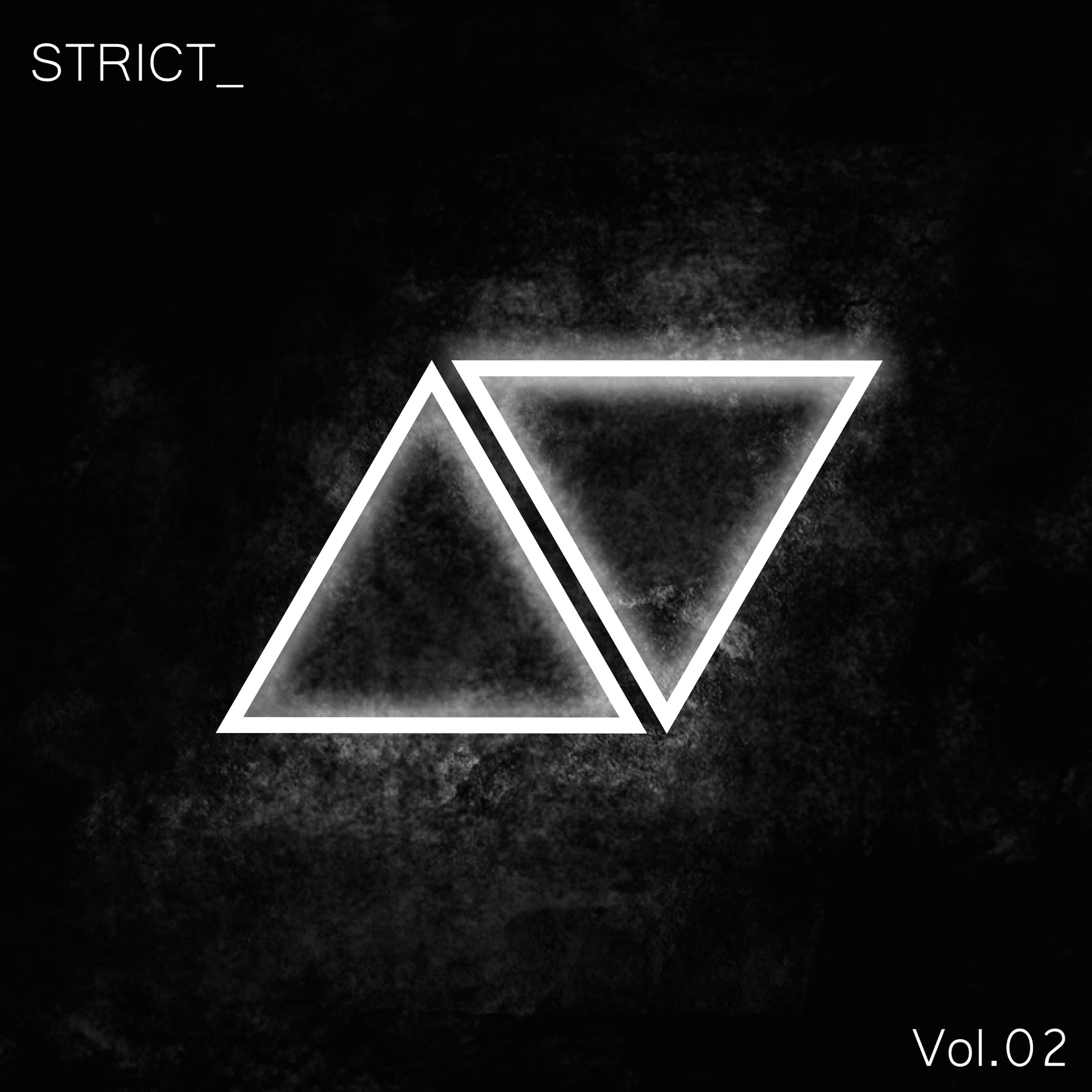 STRICT_, Vol. 2