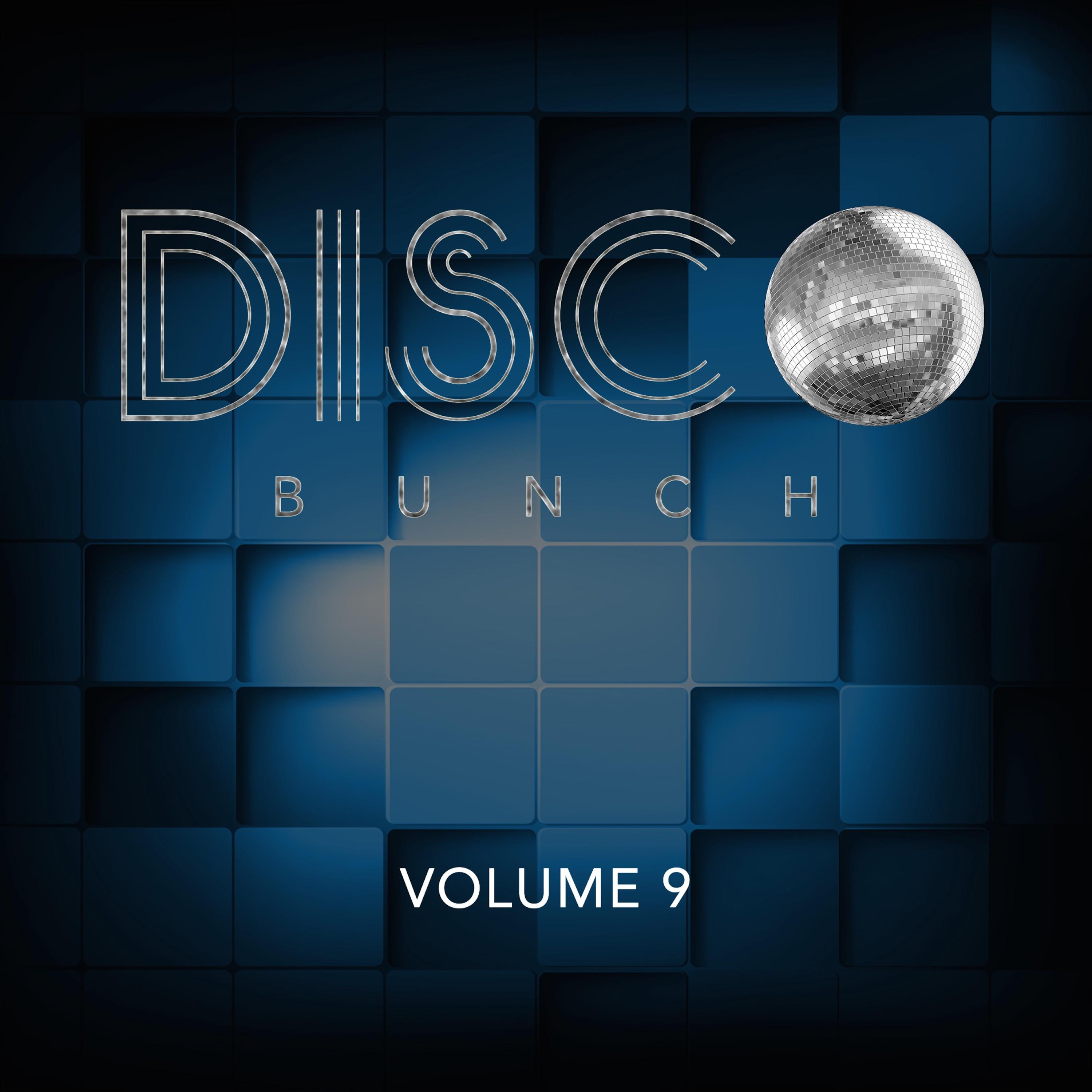 Disco Bunch, Vol. 9