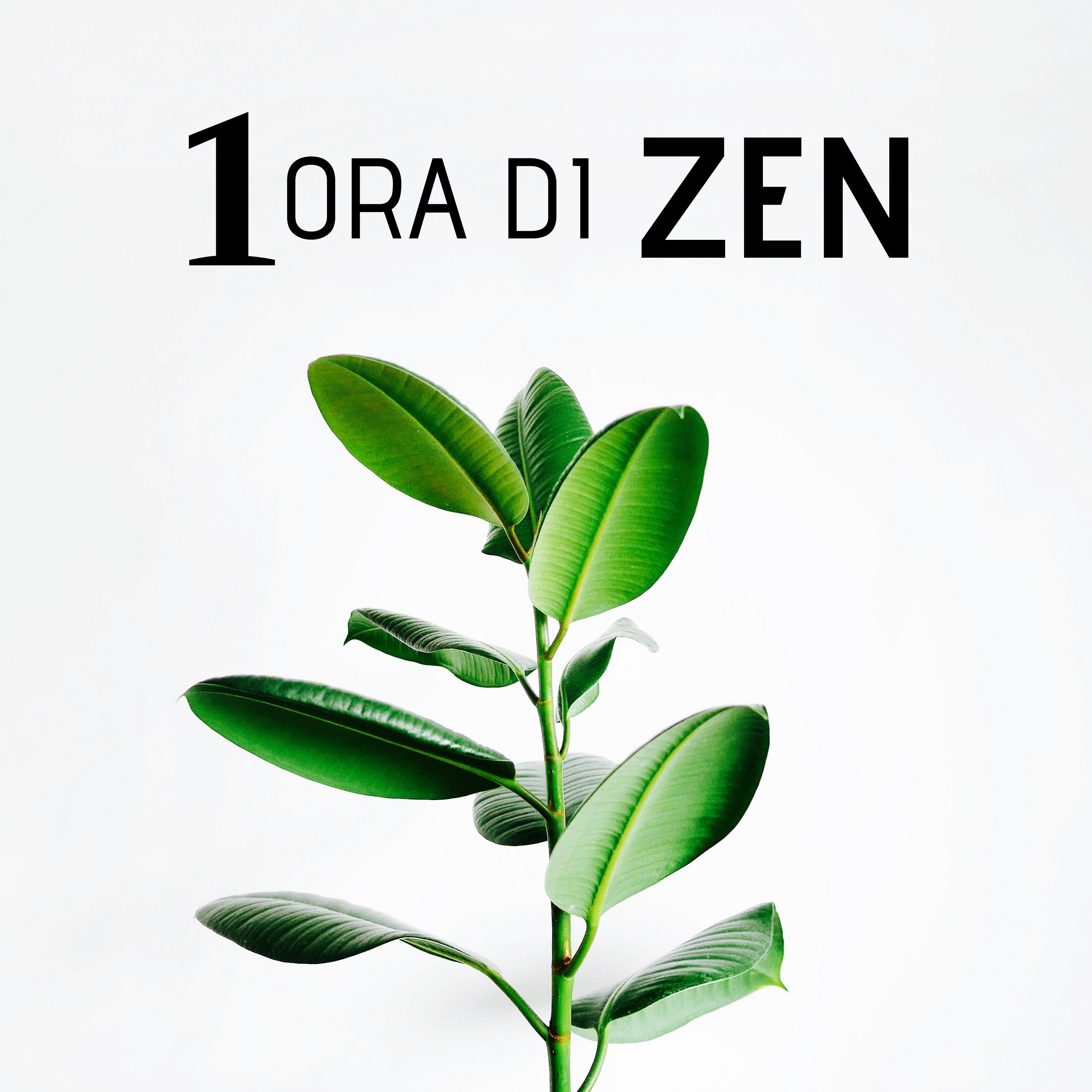 1 Ora di Zen - Musica per il Rilassamento della Mente, Corpo e Spirito