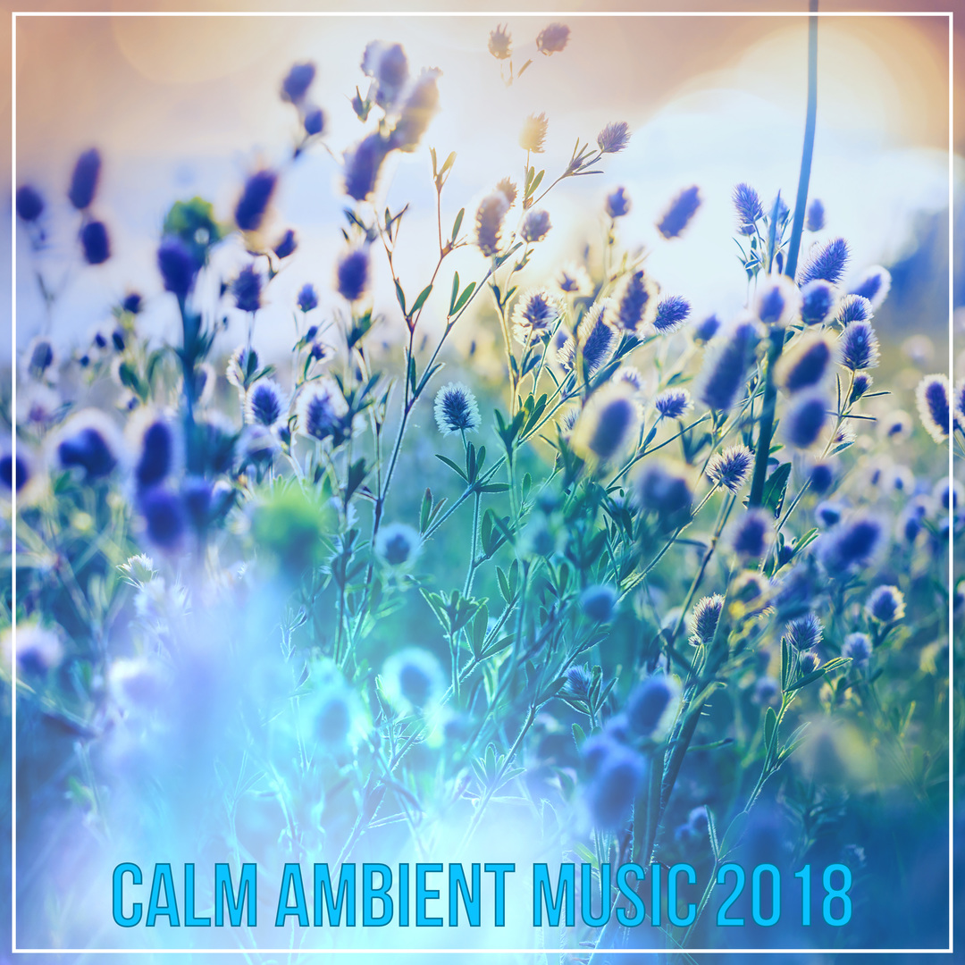 Calm Ambient Music 2018