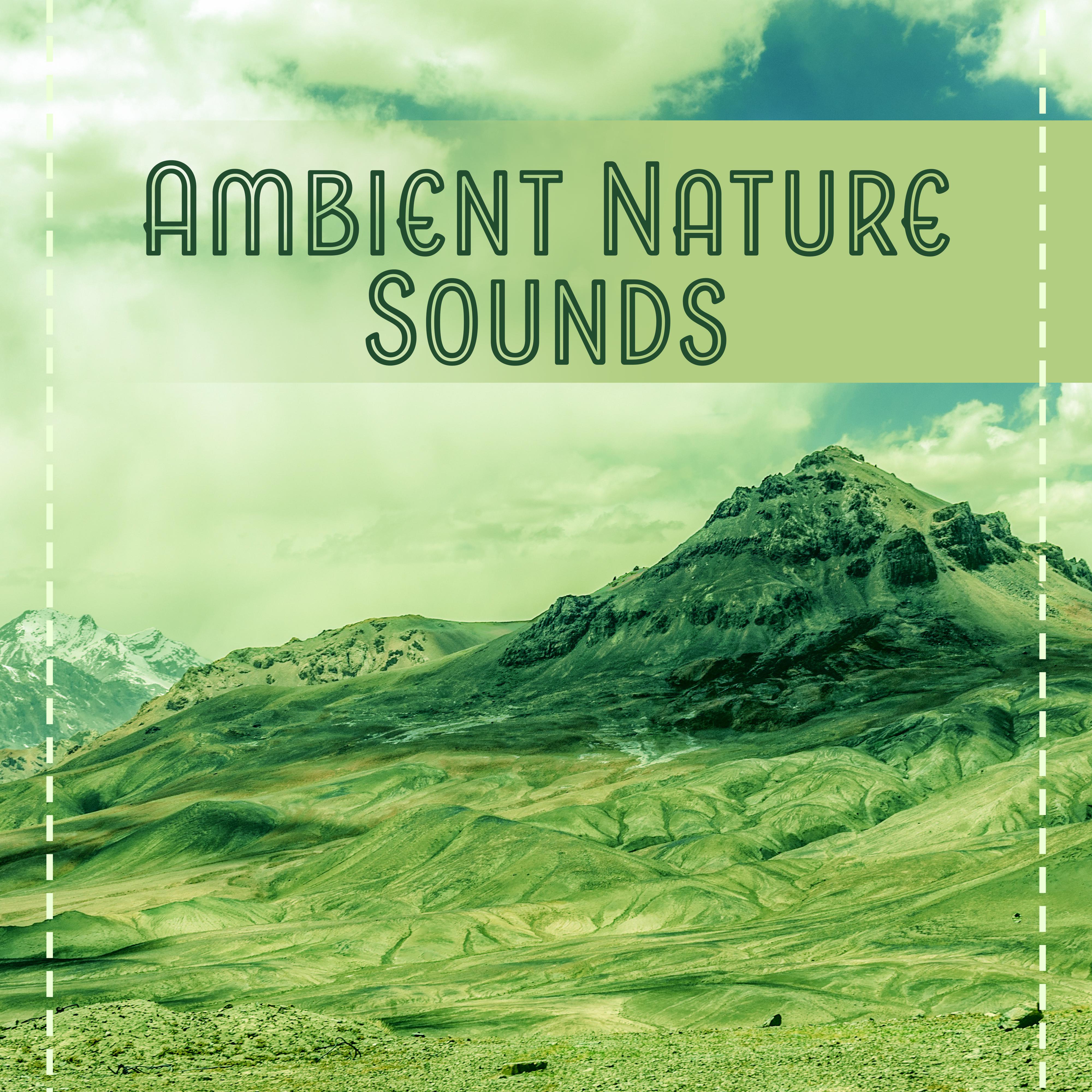 Ambient Nature Sounds  Relaxing Music, Best for Deep Relaxation, Spa at Home, Beauty Parlour, Rest