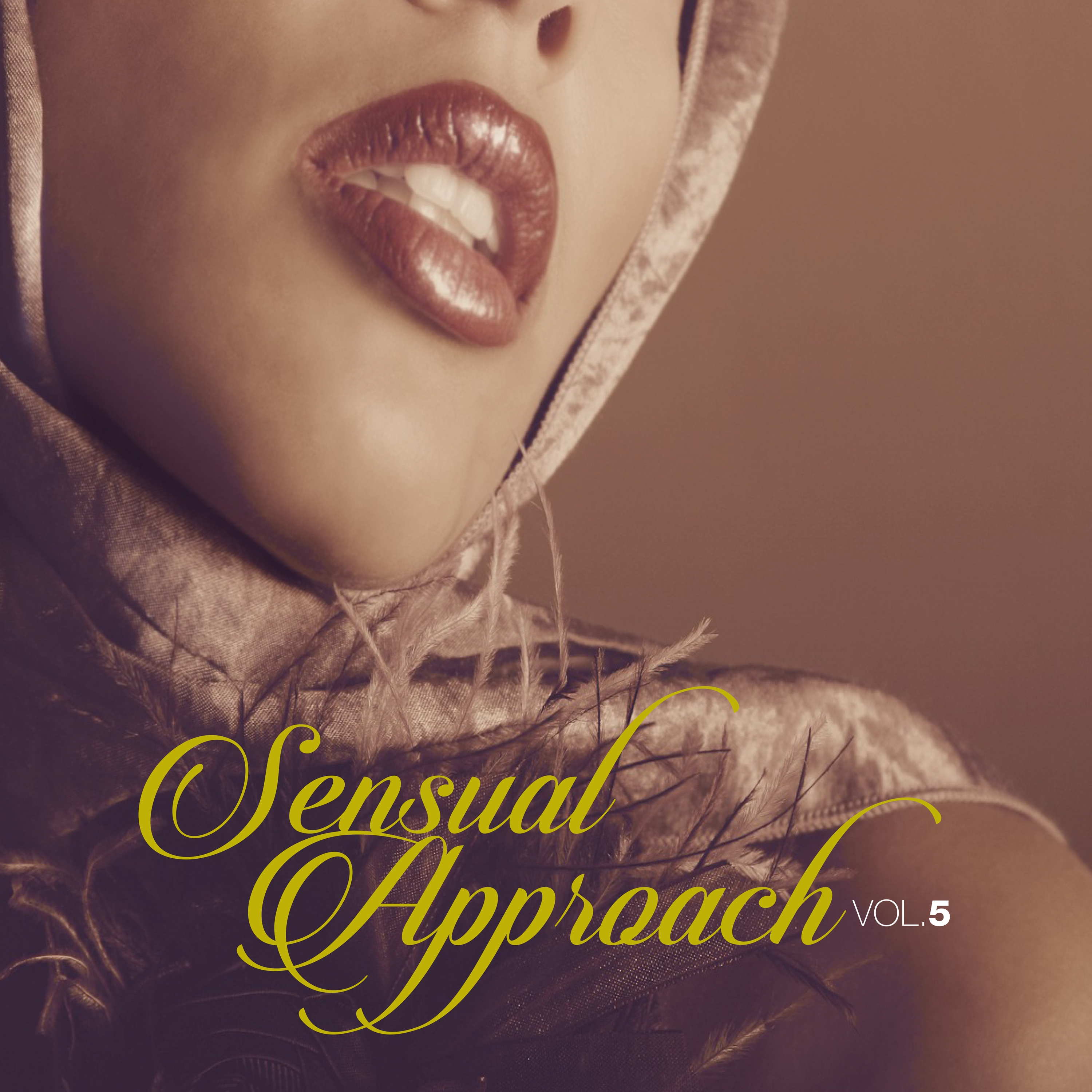 Sensual Approach, Vol. 5