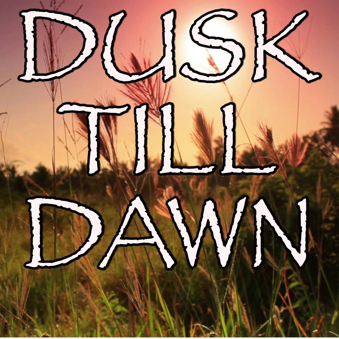 Dusk Till Dawn - Tribute to Zayn and Sia