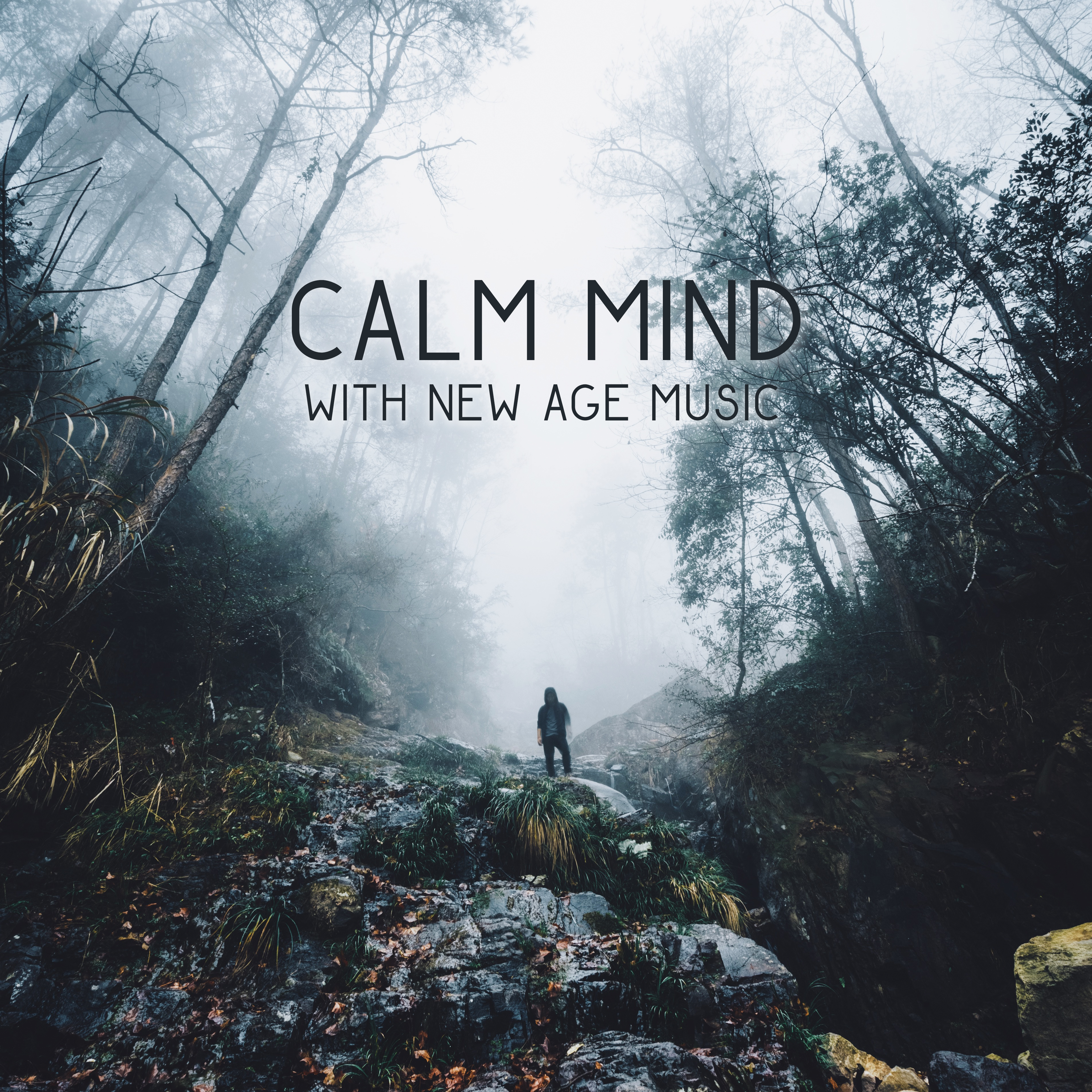 Calm Mind with New Age Music  Soothing Waves, Relaxing New Age Sounds, Music to Rest, Peaceful Mind, Stress Relief