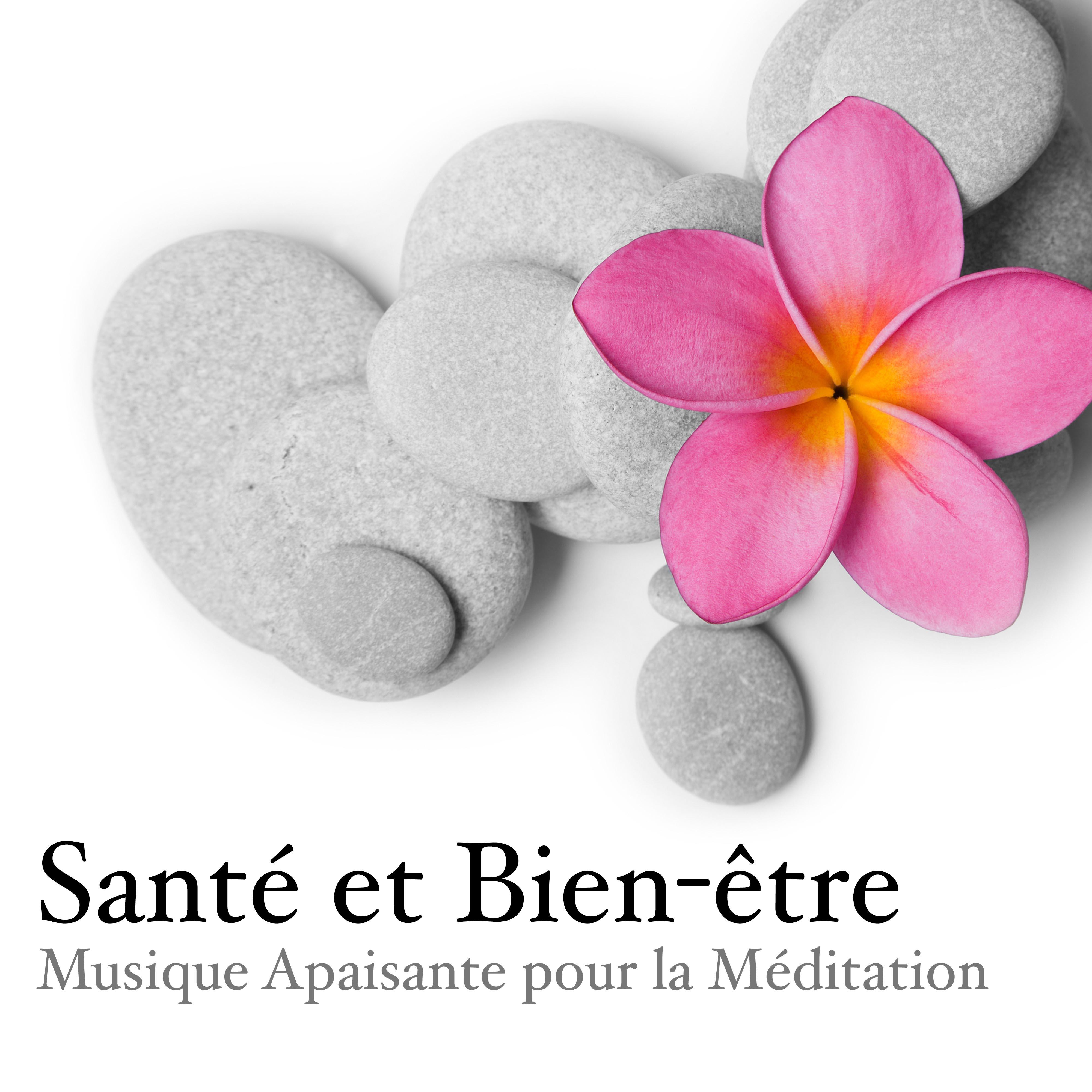 Sante et Bien tre: Musique Apaisante pour la Me ditation et Technique de Relaxation