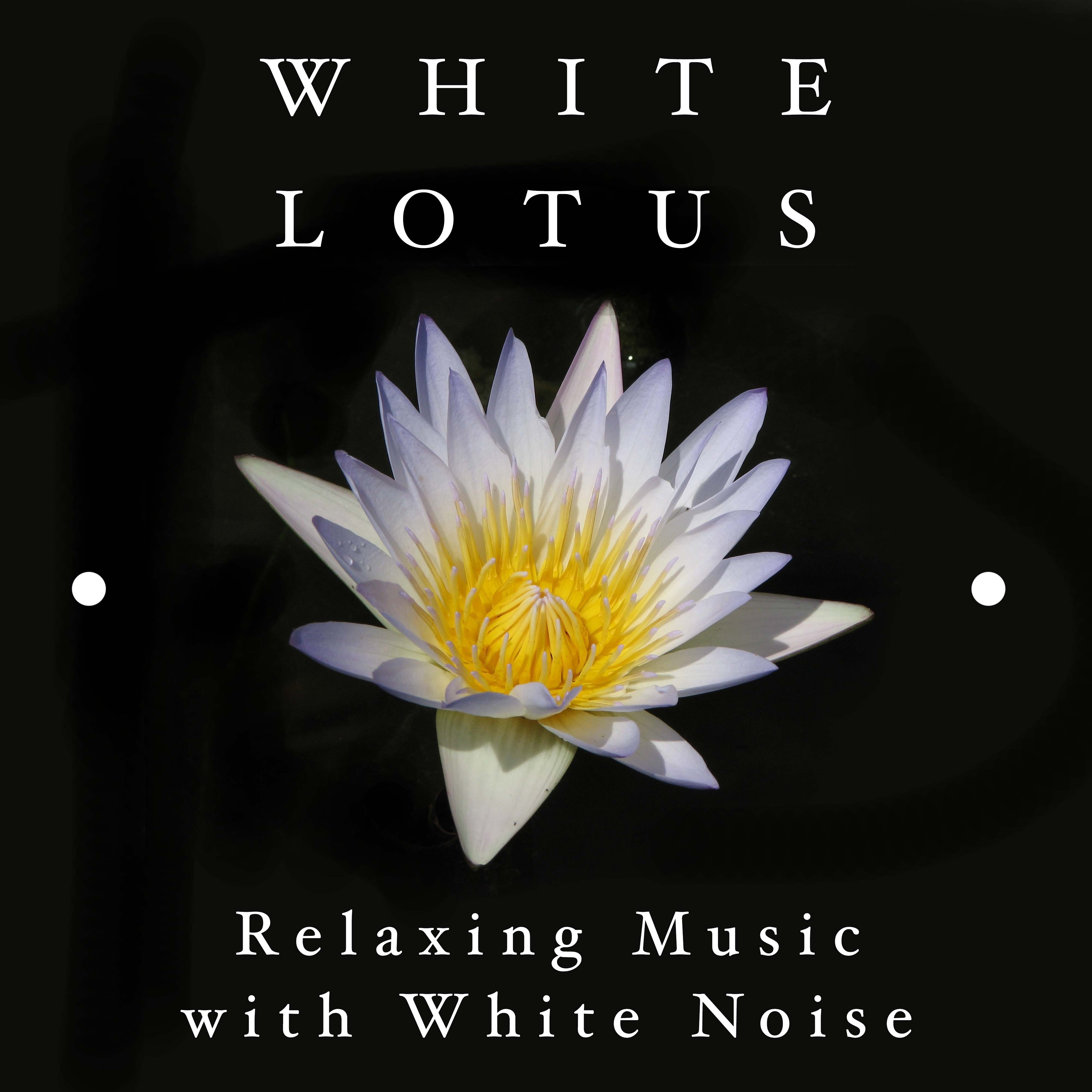 White Lotus - Relaxing Music with White Noise