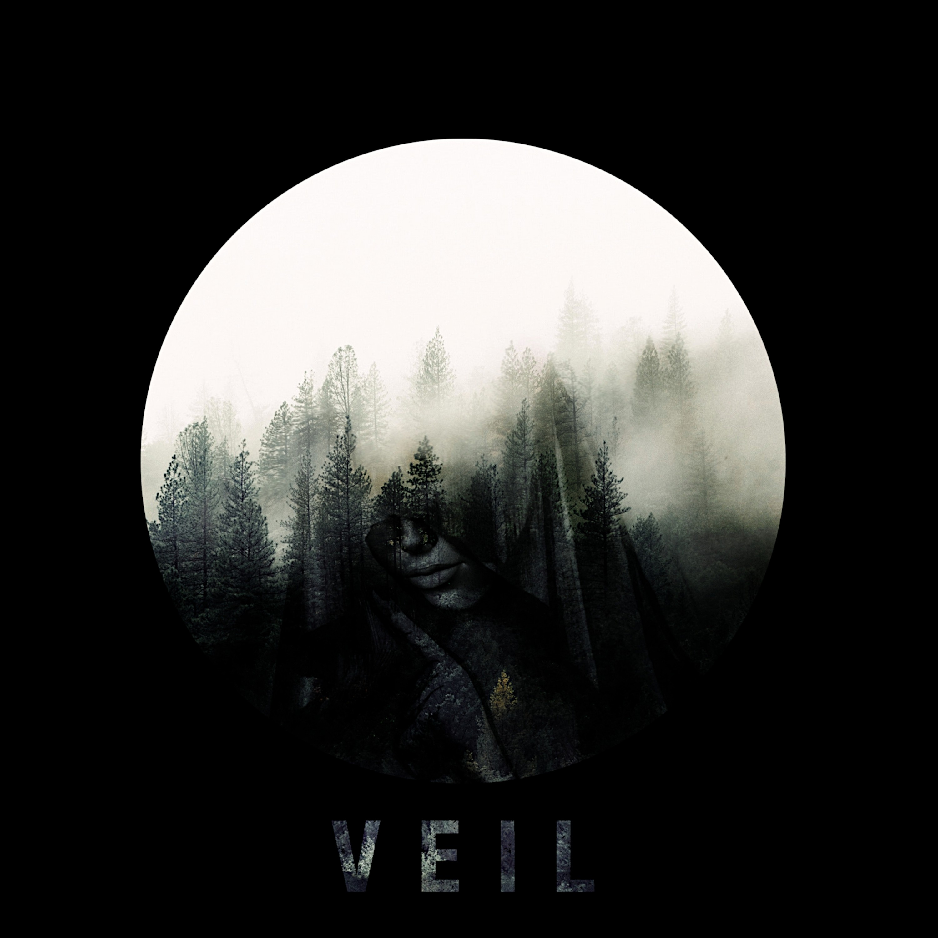 Veil