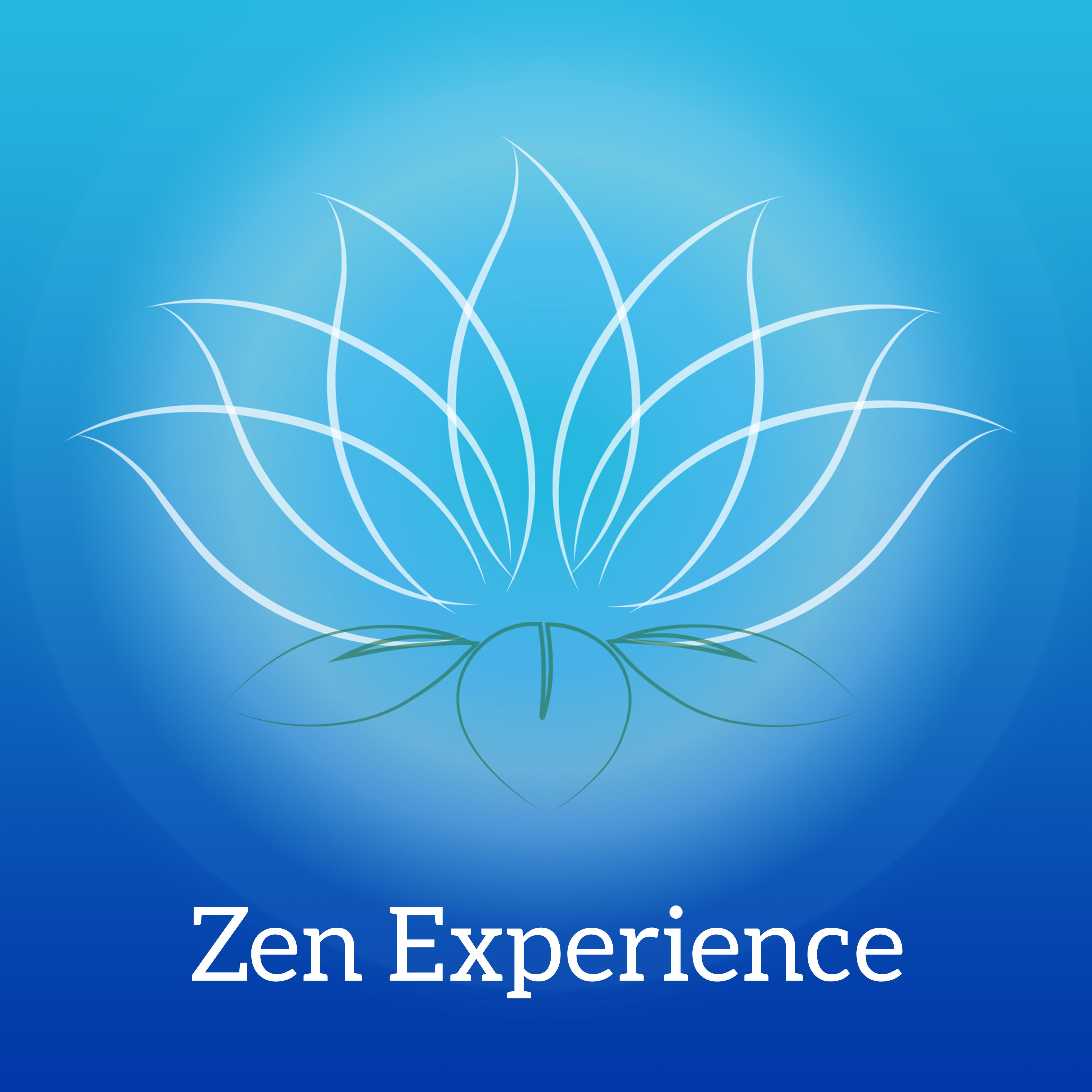 Zen Experience  Music for Meditation, Yoga, Mantra, Mindfulness, Zen Power, Kundalini, Chakra, Sun Salutation