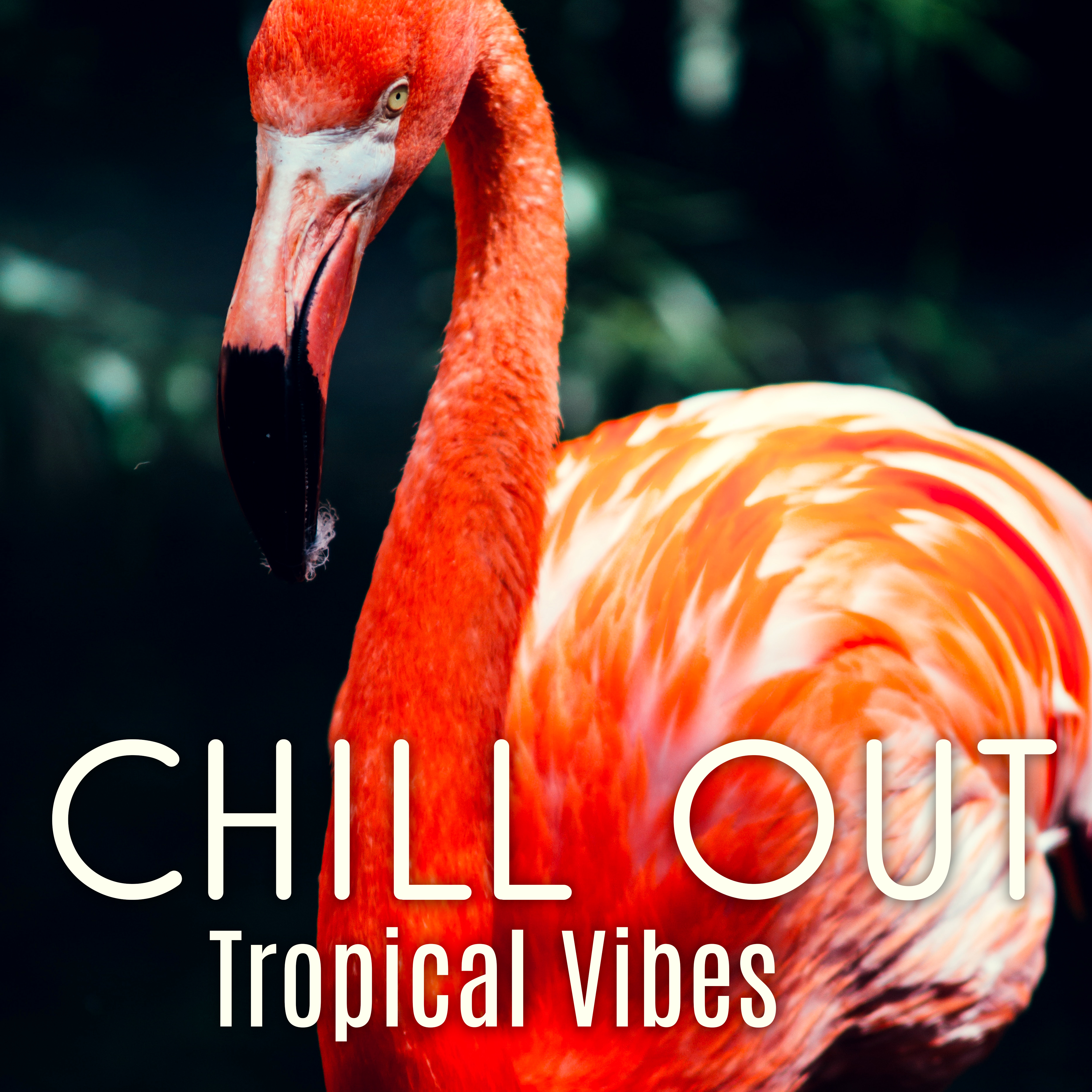 Chill Out Tropical Vibes  Relaxing Music, Sounds to Calm Down, Peaceful Vibes, Chill Out 2017, Summertime Music