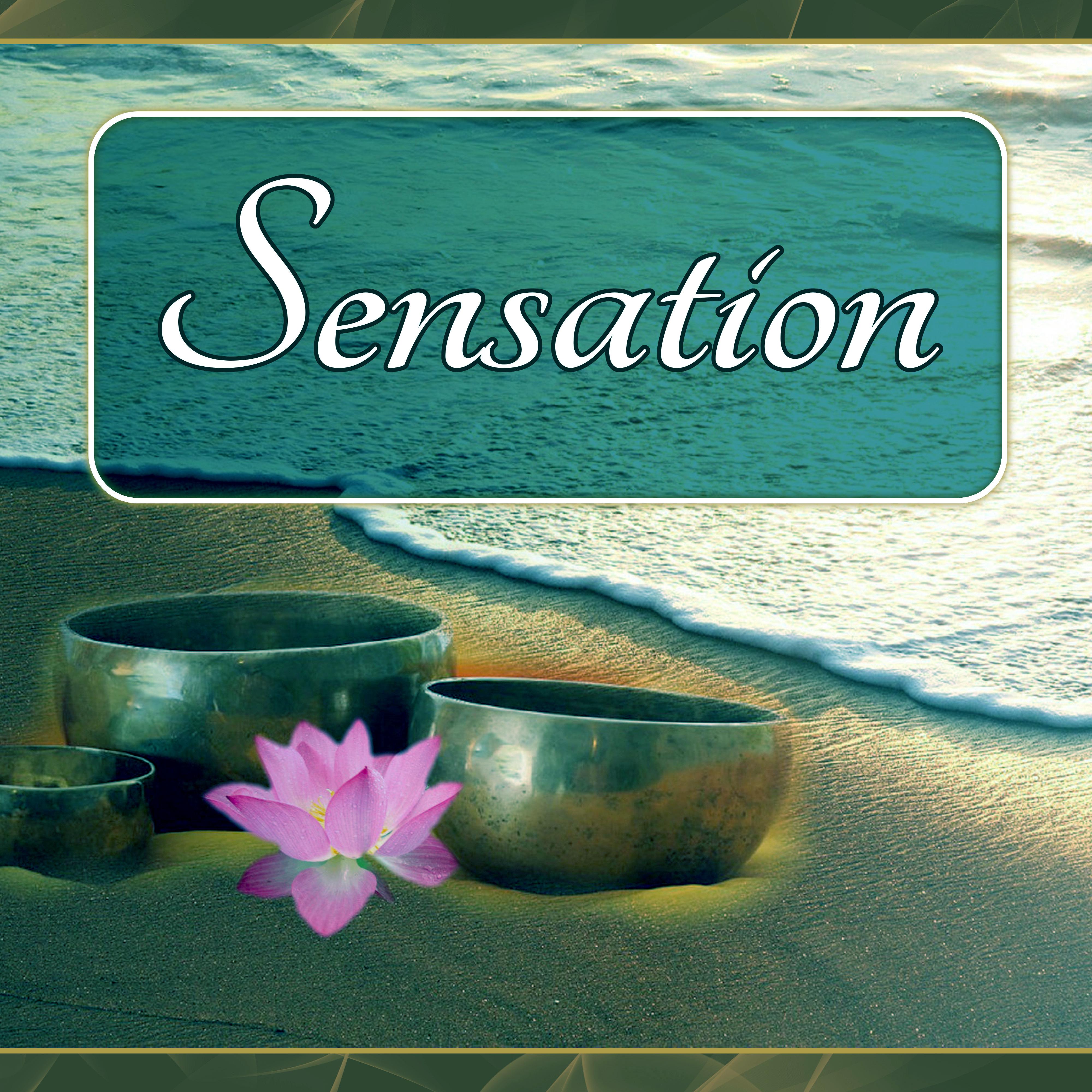 Sensation  Wellness Music Spa, Pure Mind and Body with Healing Massage Music, Harmony of Senses, Therapy Music for Relax, Inner Peace