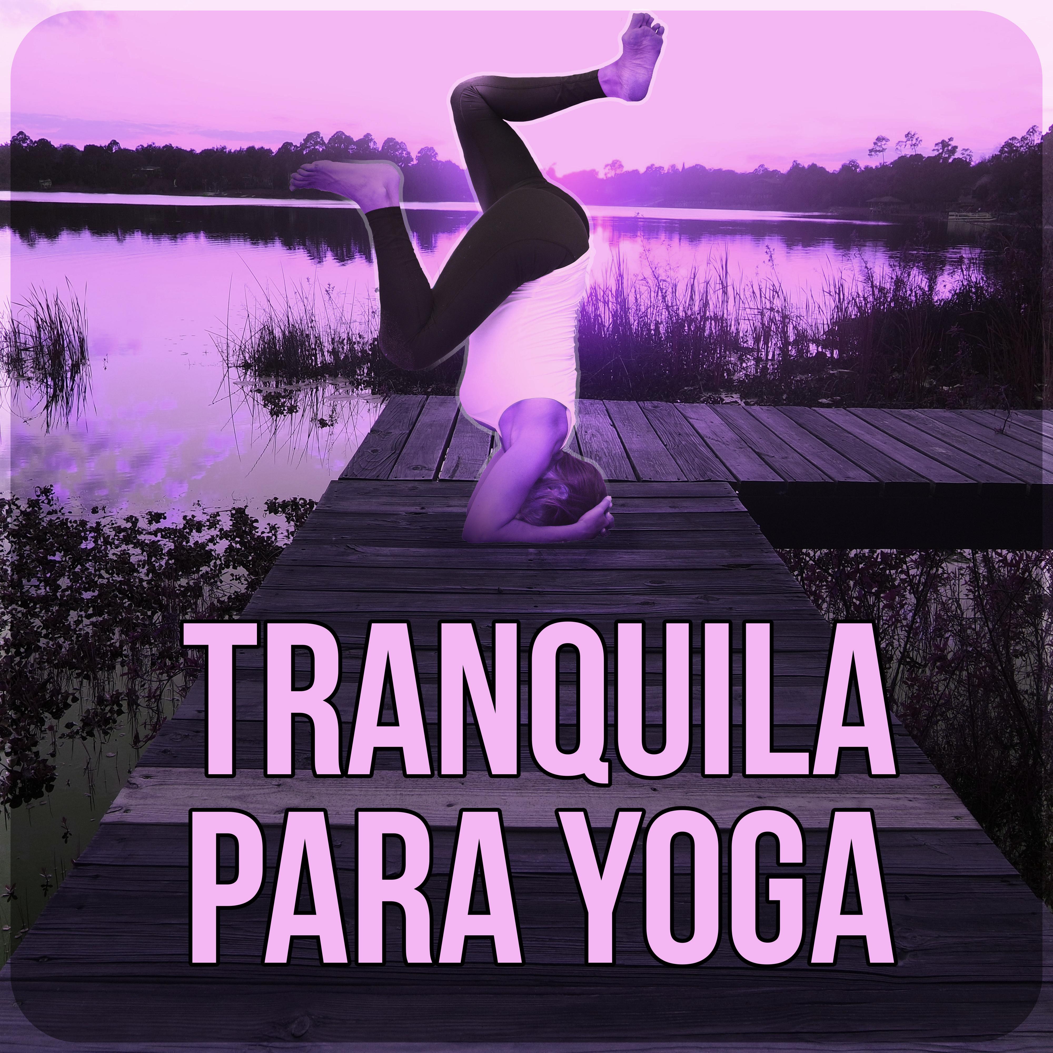 Tranquila para Yoga  Relajacio n y Bienestar para Mi, Estresse e Sono, Medita o e Espiritualidade New Age, Bem Estar, Pensamento Positivo, Massagem Mu sica