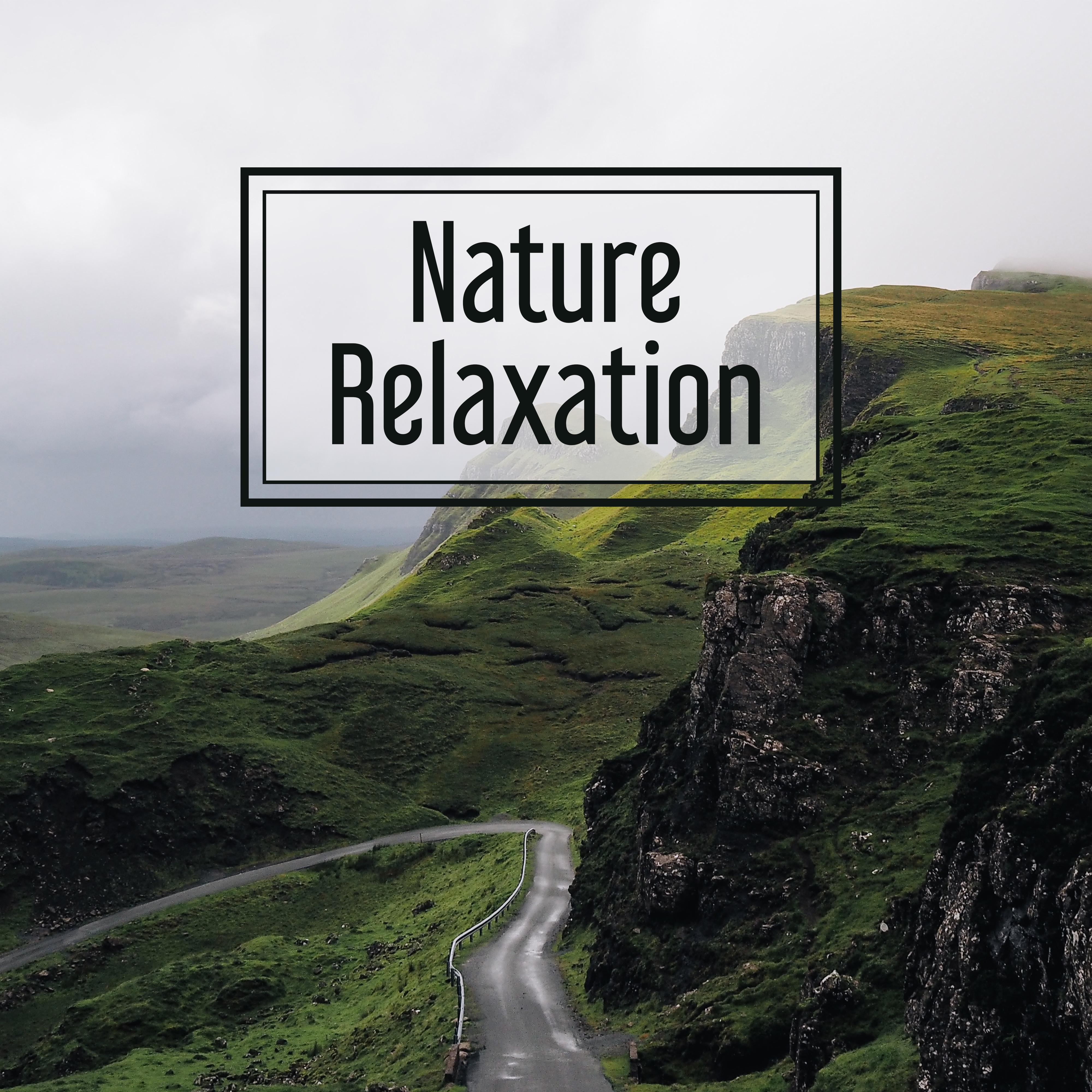 Nature Relaxation  Soft New Age Music, Relaxation Music, Calmness, Deep Rest, Relax After Work