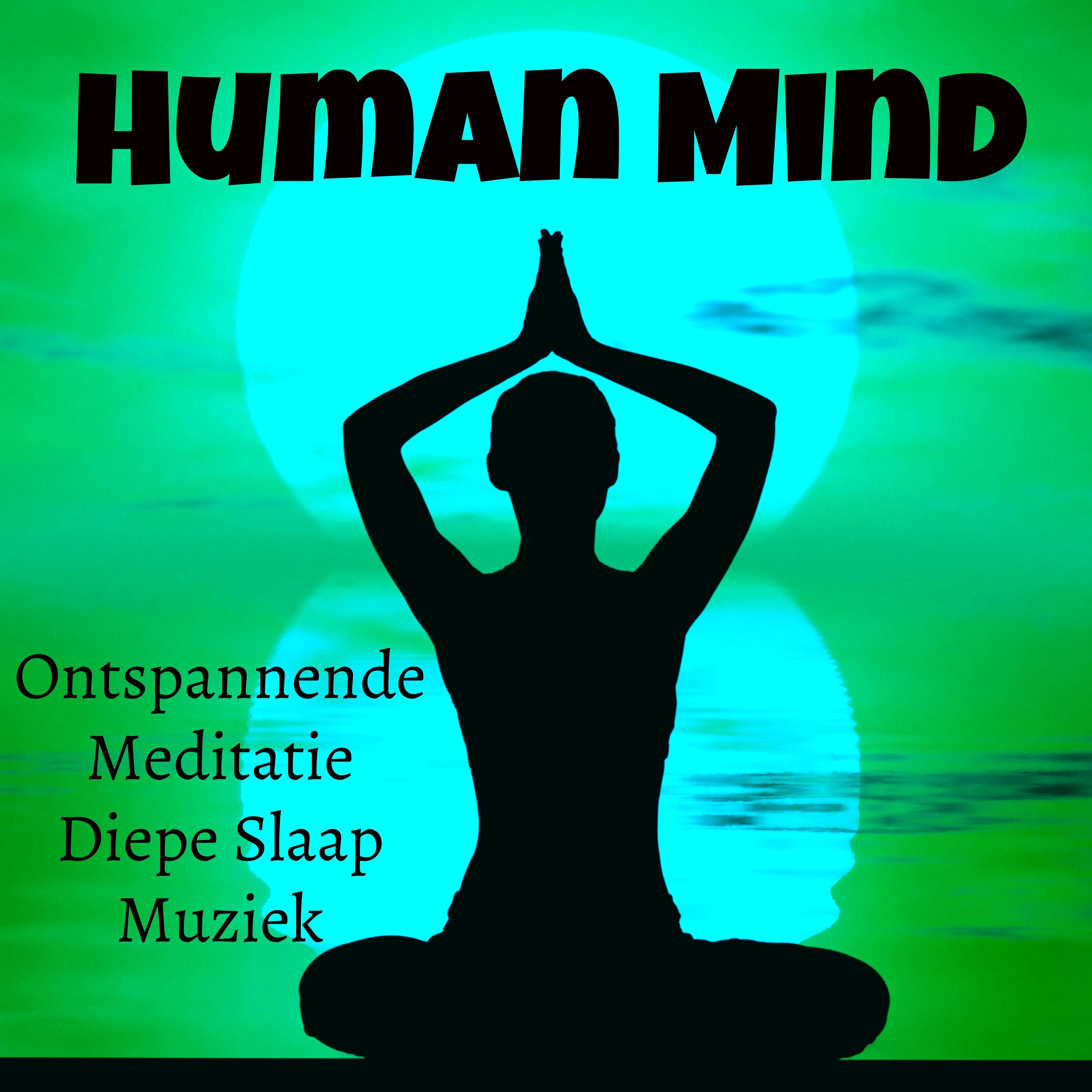 Human Mind - Ontspannende Meditatie Diepe Slaap Muziek voor Spirituele Genezing Yoga Meditatie met Instrumentale Zachte Geluiden