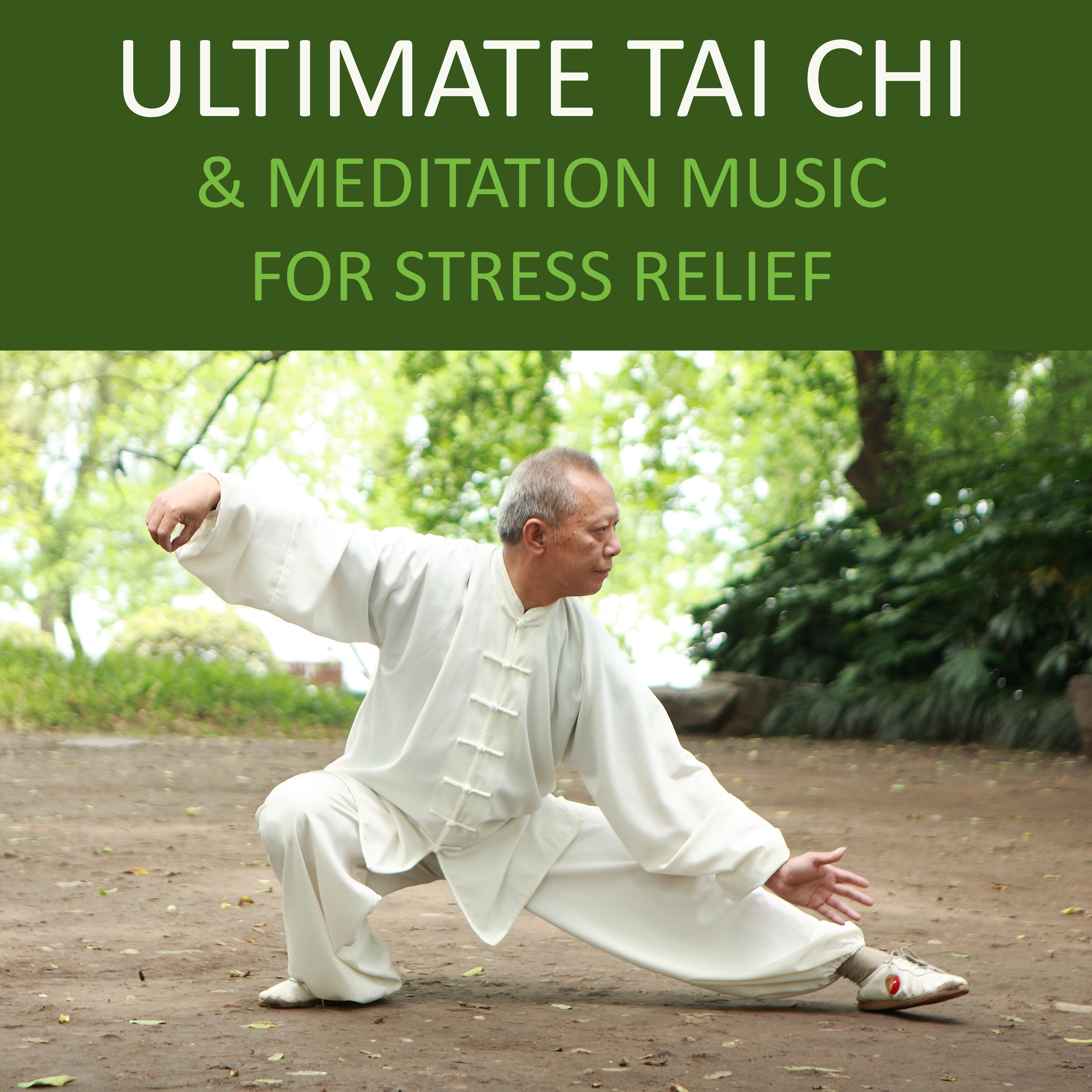 Ultimate Tai Chi & Meditation Music for Stress Relief