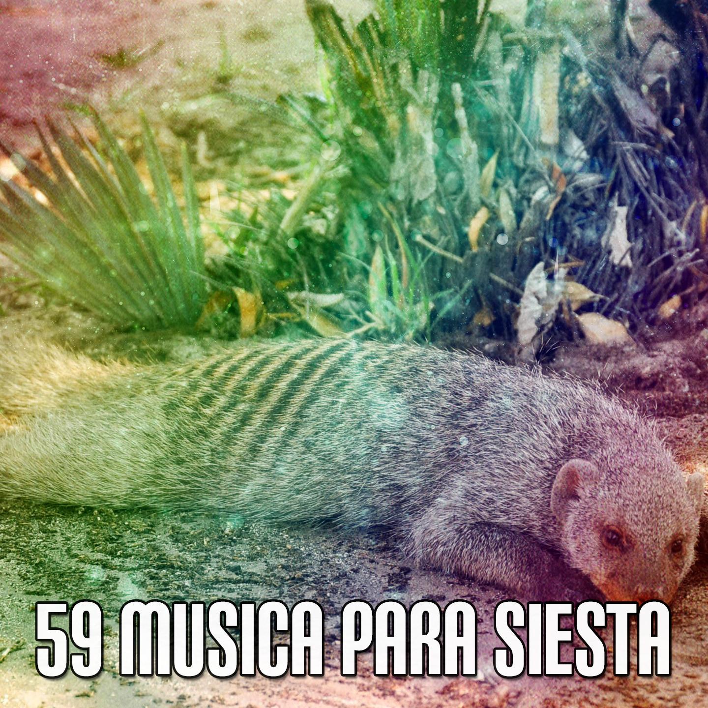 59 Musica Para Siesta