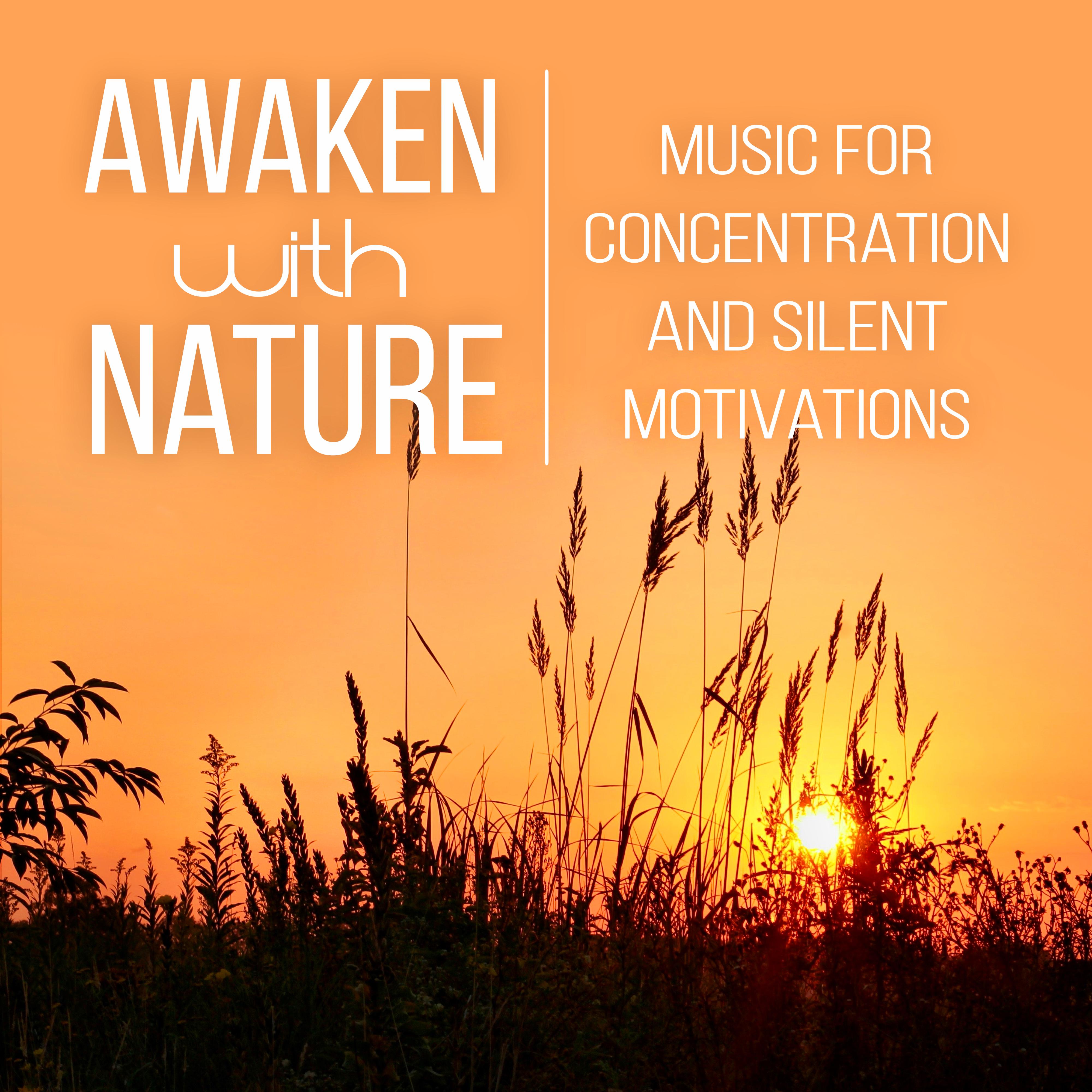 Awaken with Nature - Music for Concentration and Silent Motivations, Lights of Mind, Hypnosis, Study Music, Meditation Relaxation, Yoga, Positive Thinking, Sleep