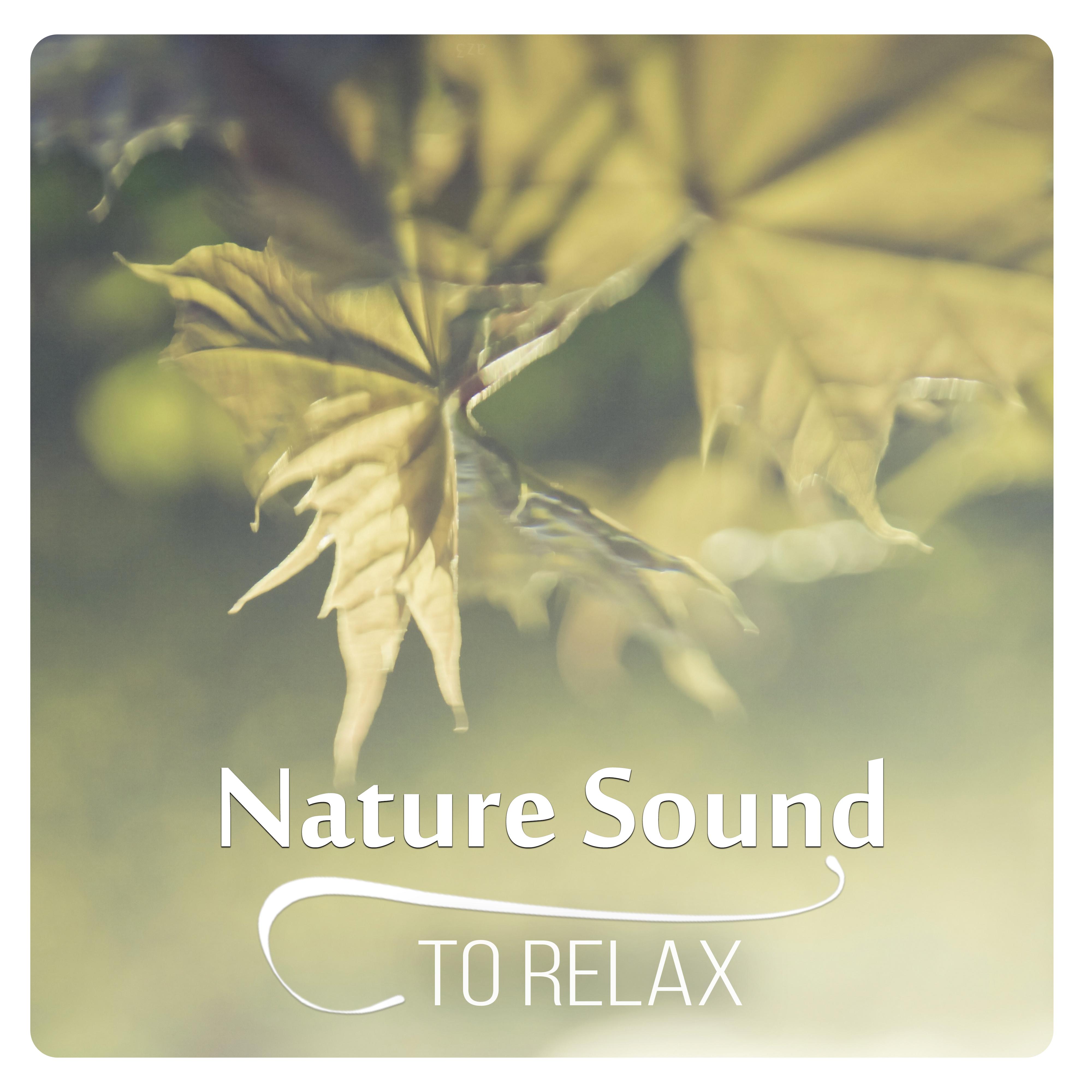 Nature Sound to Relax - Soothing Flute Music for Massage, Relaxation & Leisure, Classical Indian Flute, Reiki & SPA with Nature Sounds