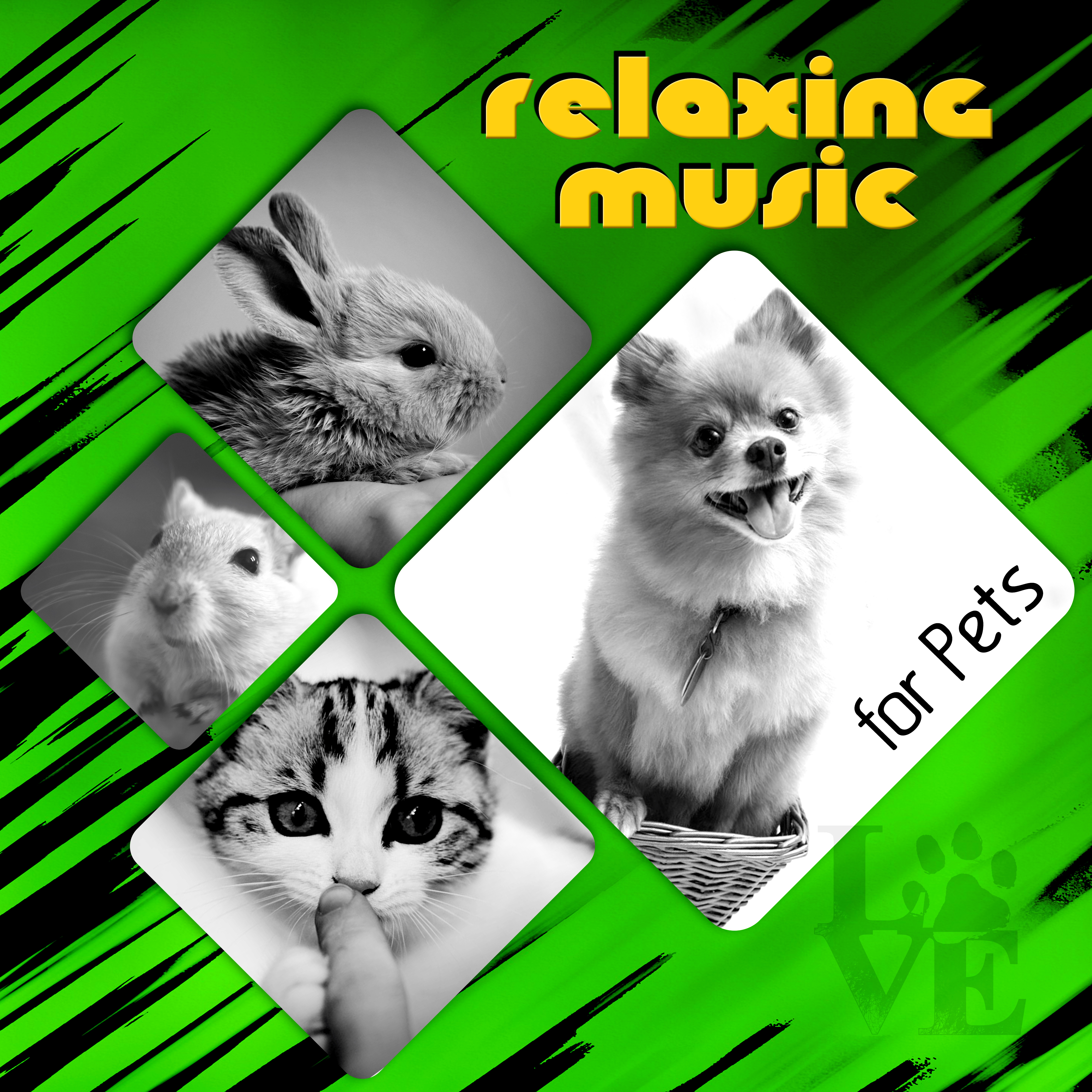 Relaxing Music for Pets  Soothing Sounds for Dogs and Cats, Calm Puppy  Kitty, Calming Music, Nature Sounds for Relaxation