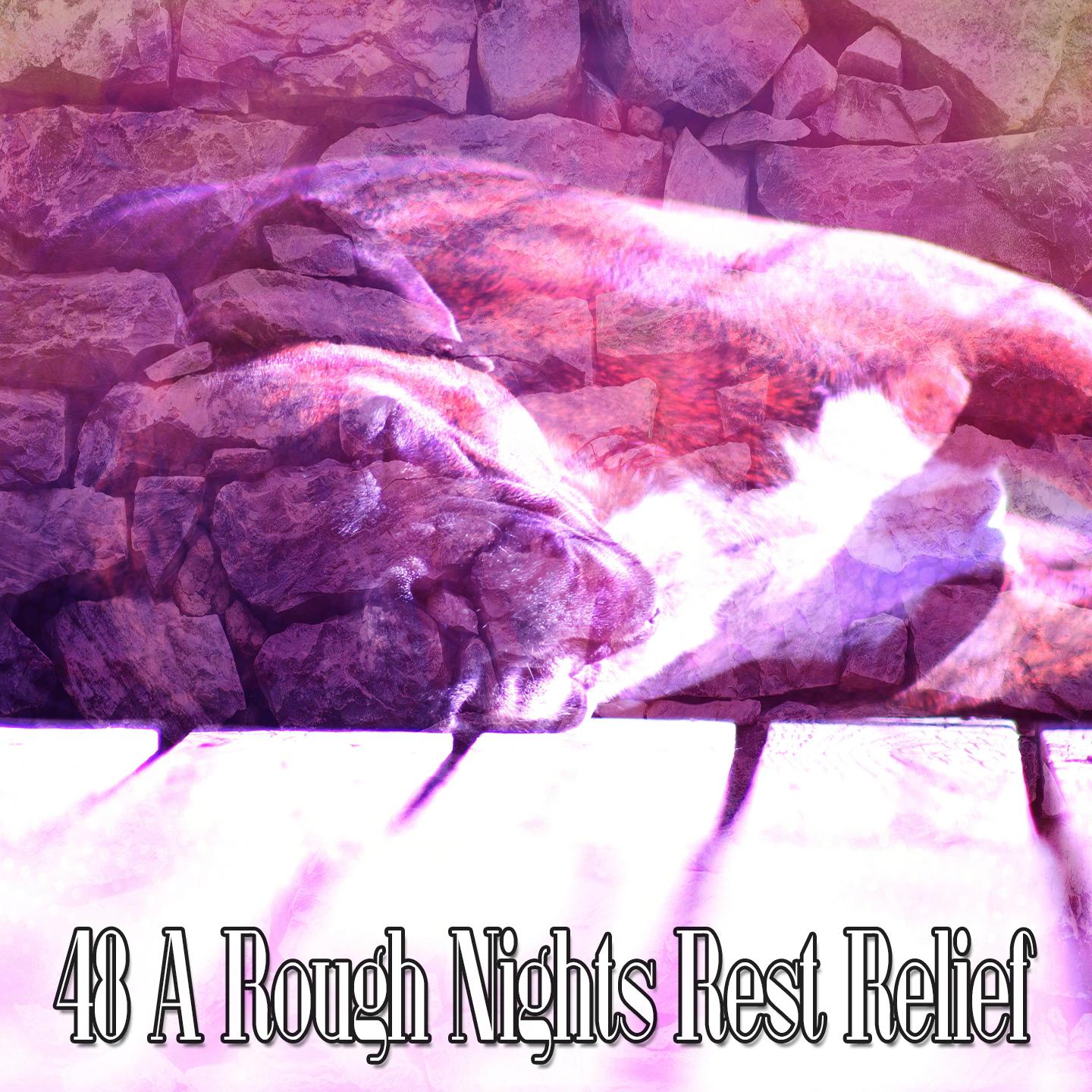 48 A Rough Nights Rest Relief