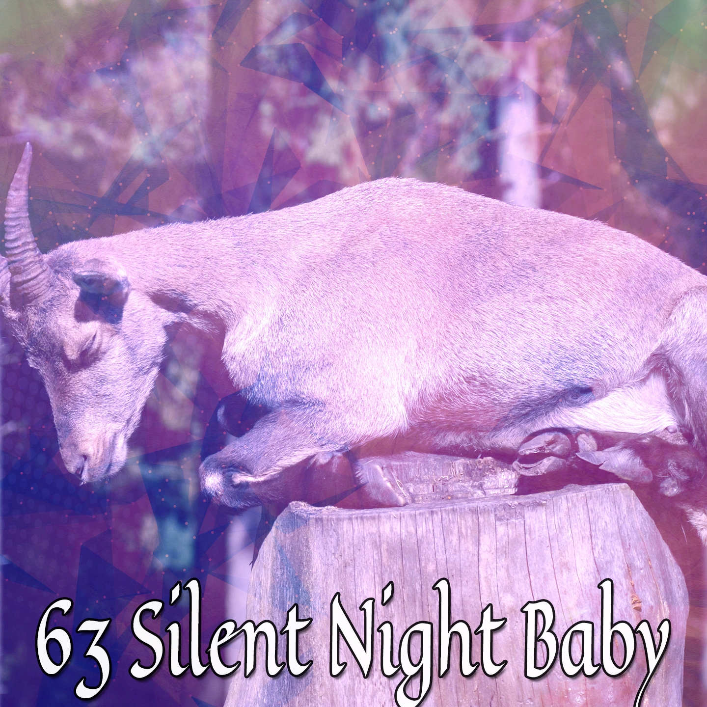 63 Silent Night Baby