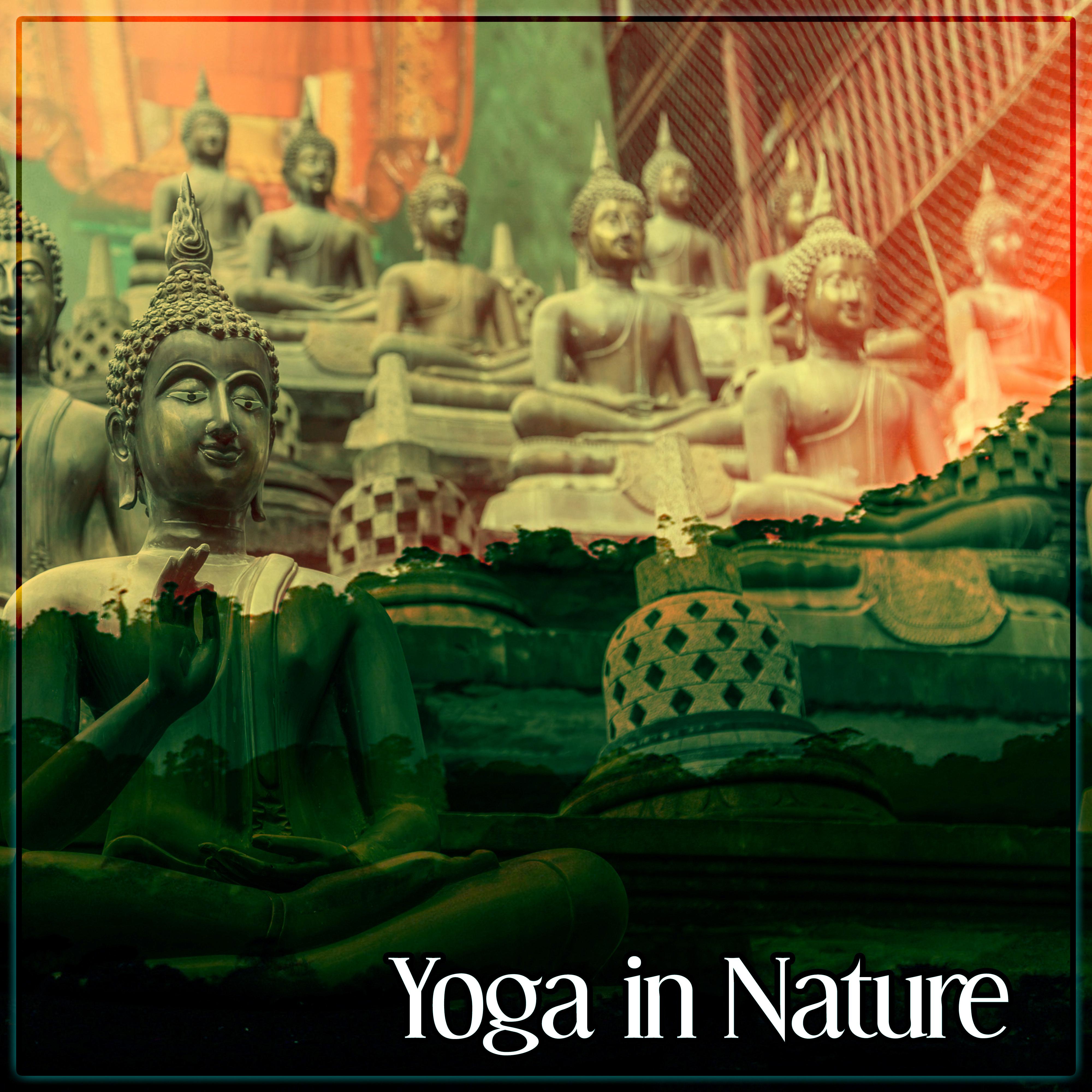Yoga in Nature  New Age Sounds for Yoga Practise, Asian Zen, Rest, Deep Meditation, Feel Inner Balance Oriental Flute, Meditation Zen, Well Being