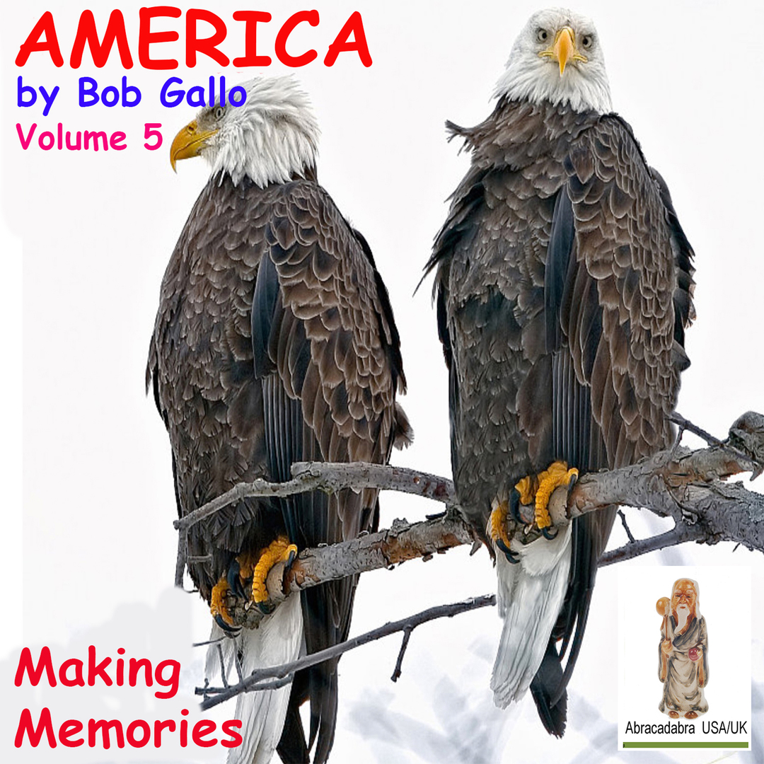 America, Vol 5. Making Memories