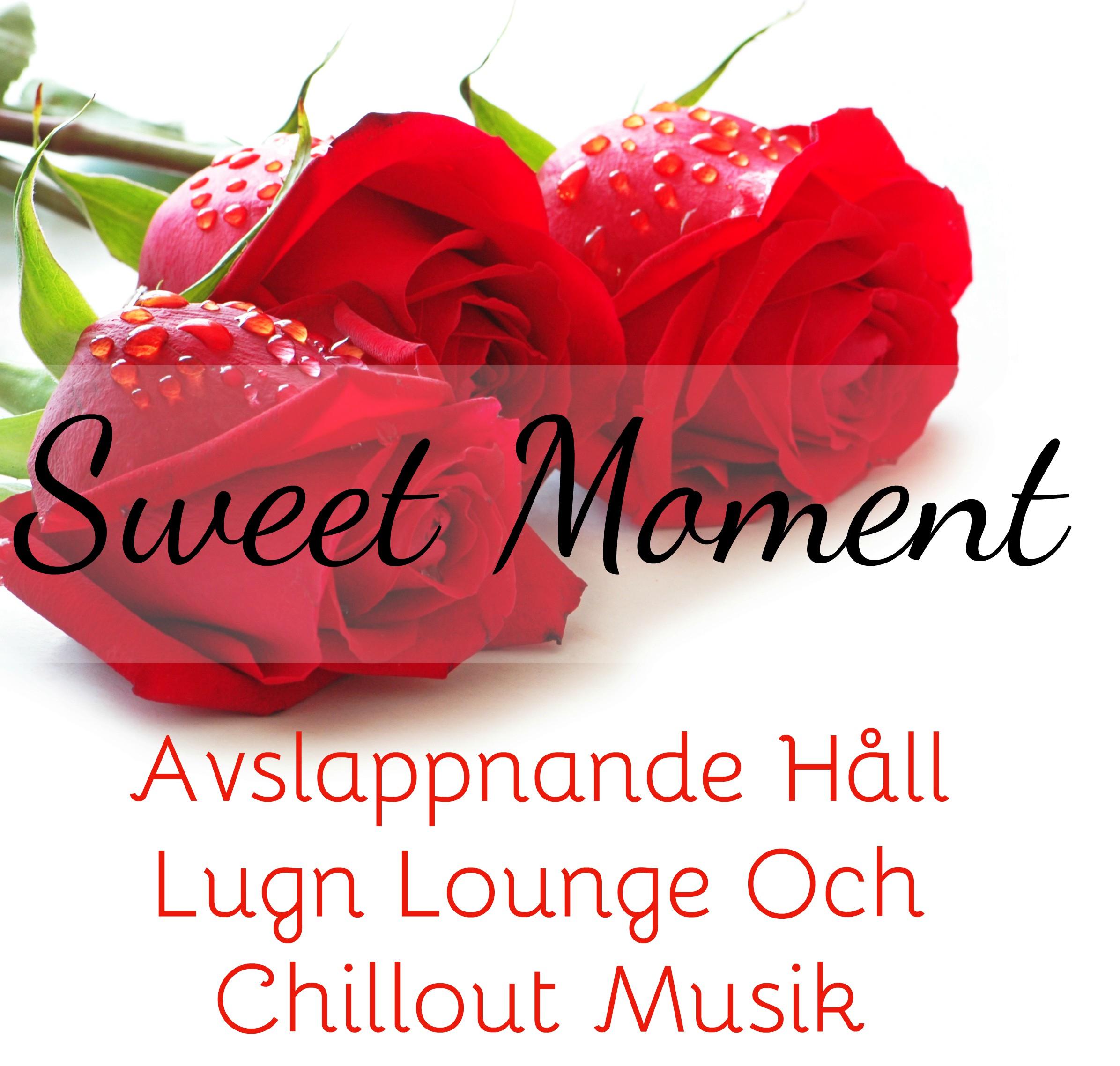 Sweet Moment  Avslappnande H ll Lugn Lounge Och Chillout Musik f r Romantisk M tesplatsen Middag