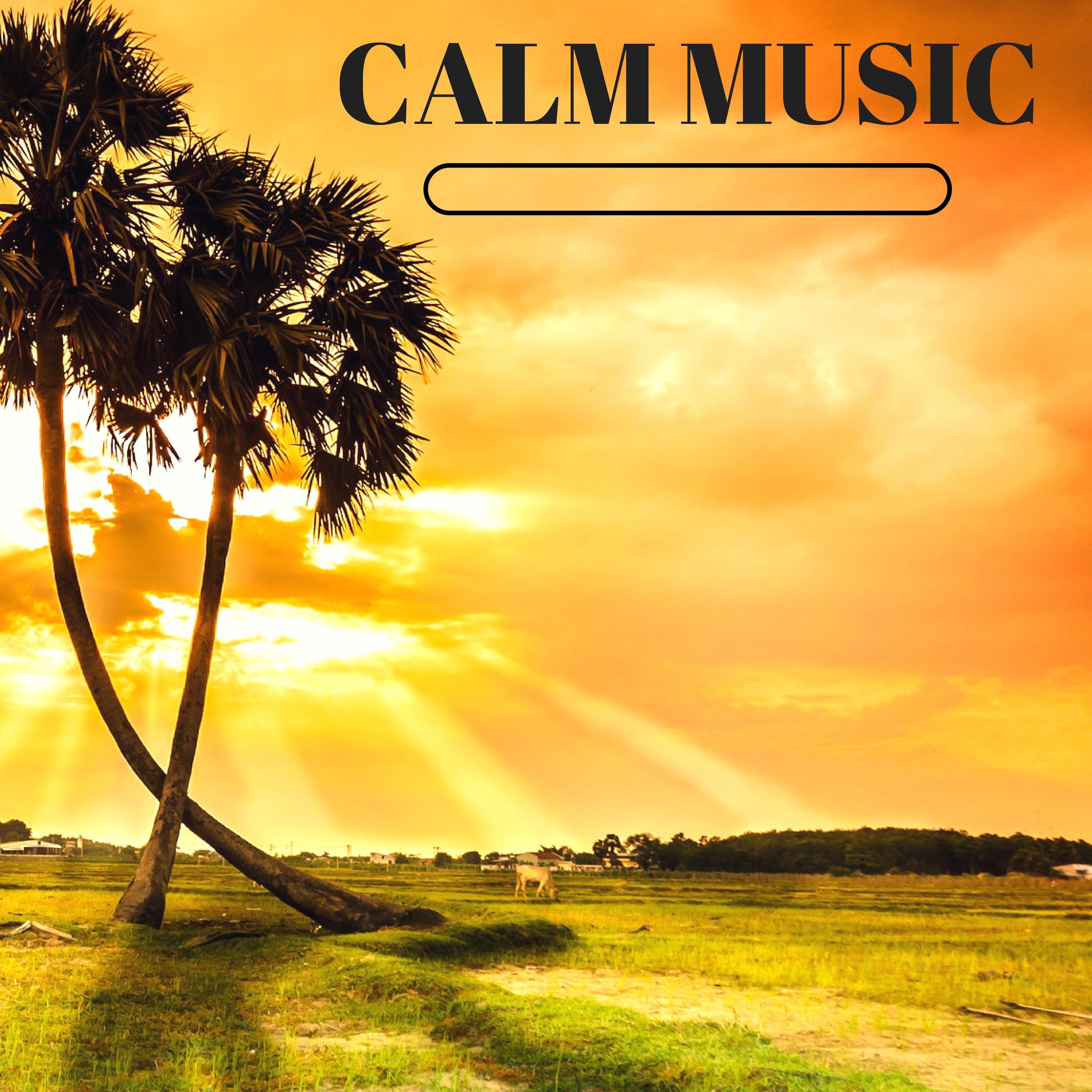 Calm Music