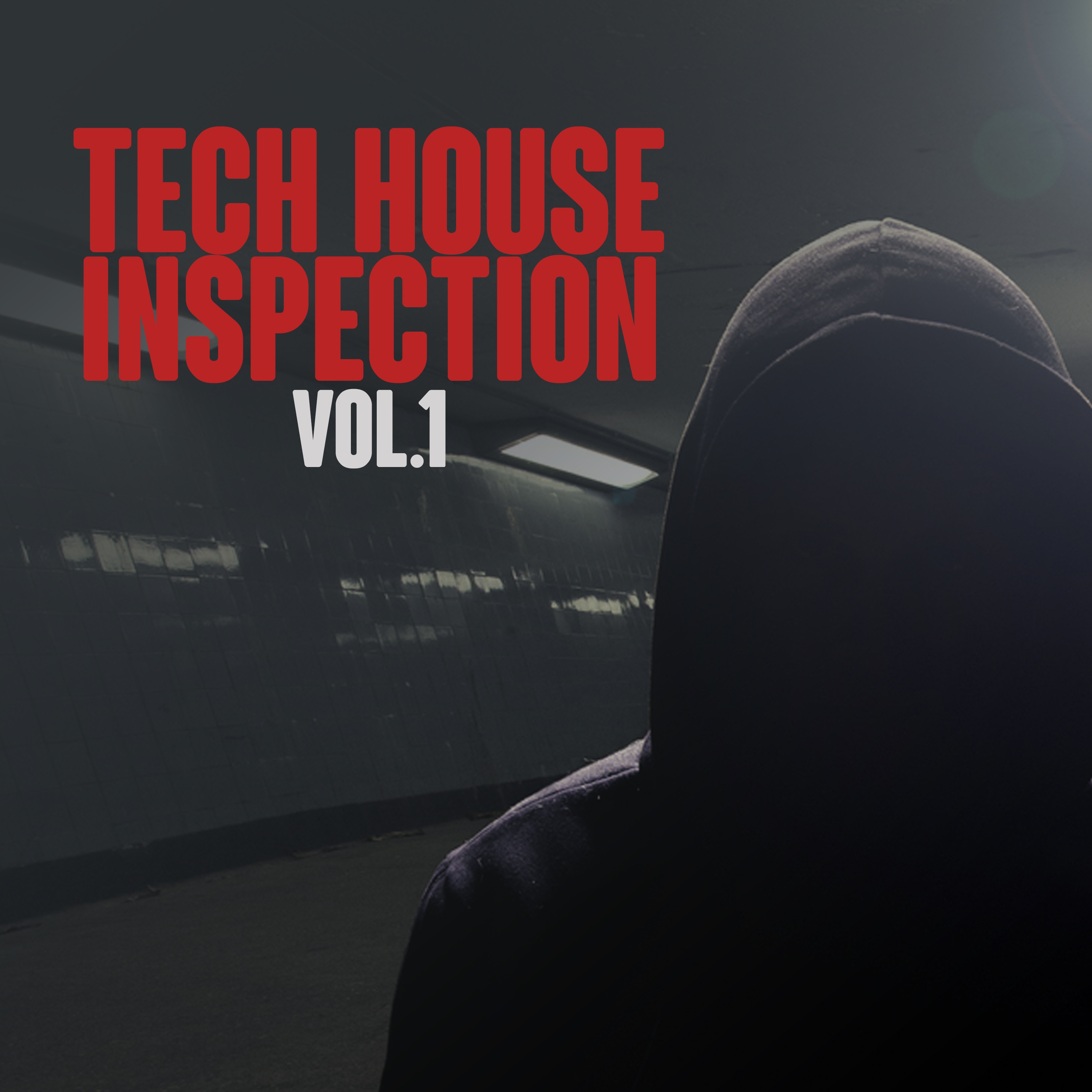 Tech House Inspection, Vol. 1