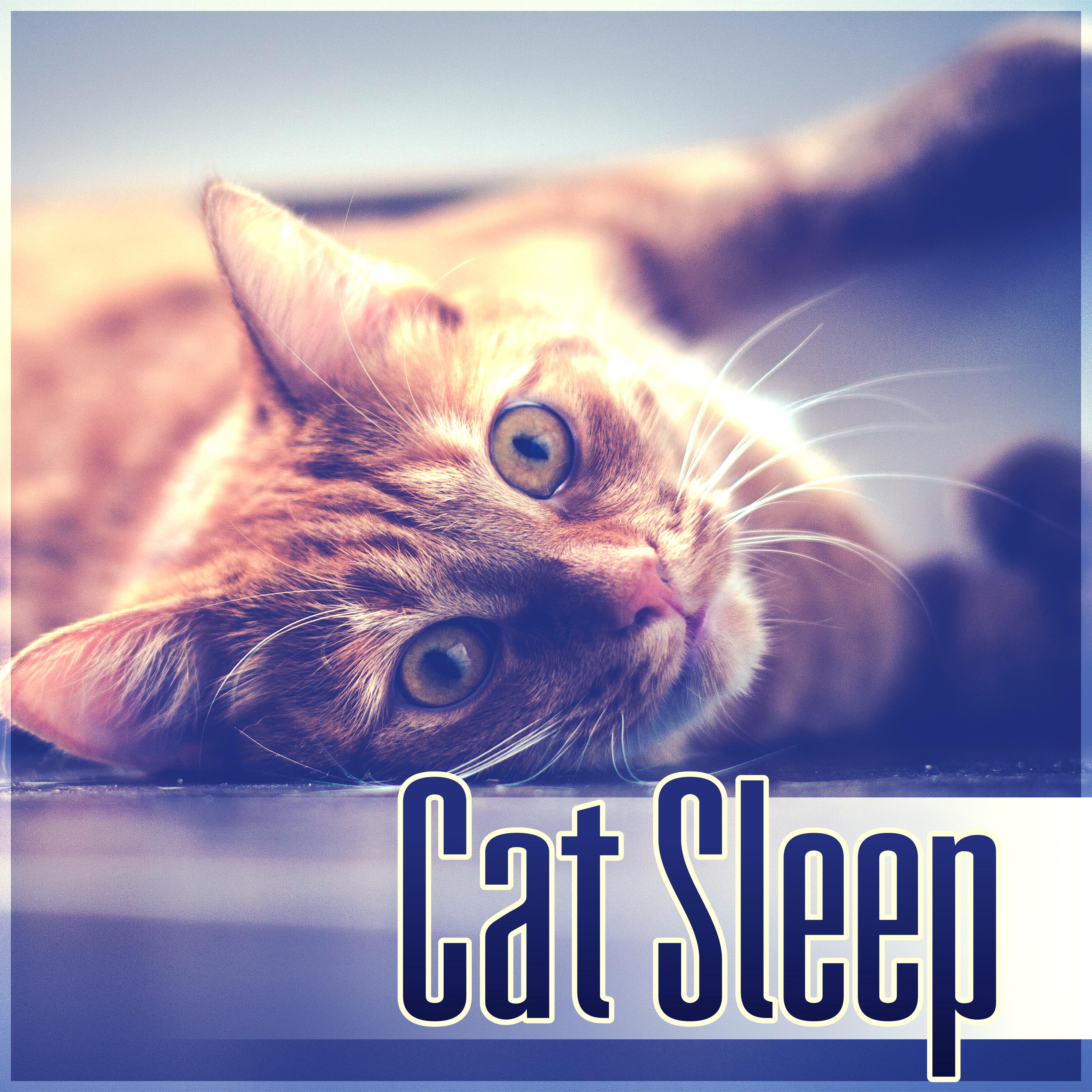 Cat Sleep - Relaxing Melodies to Calm Down Your Pet