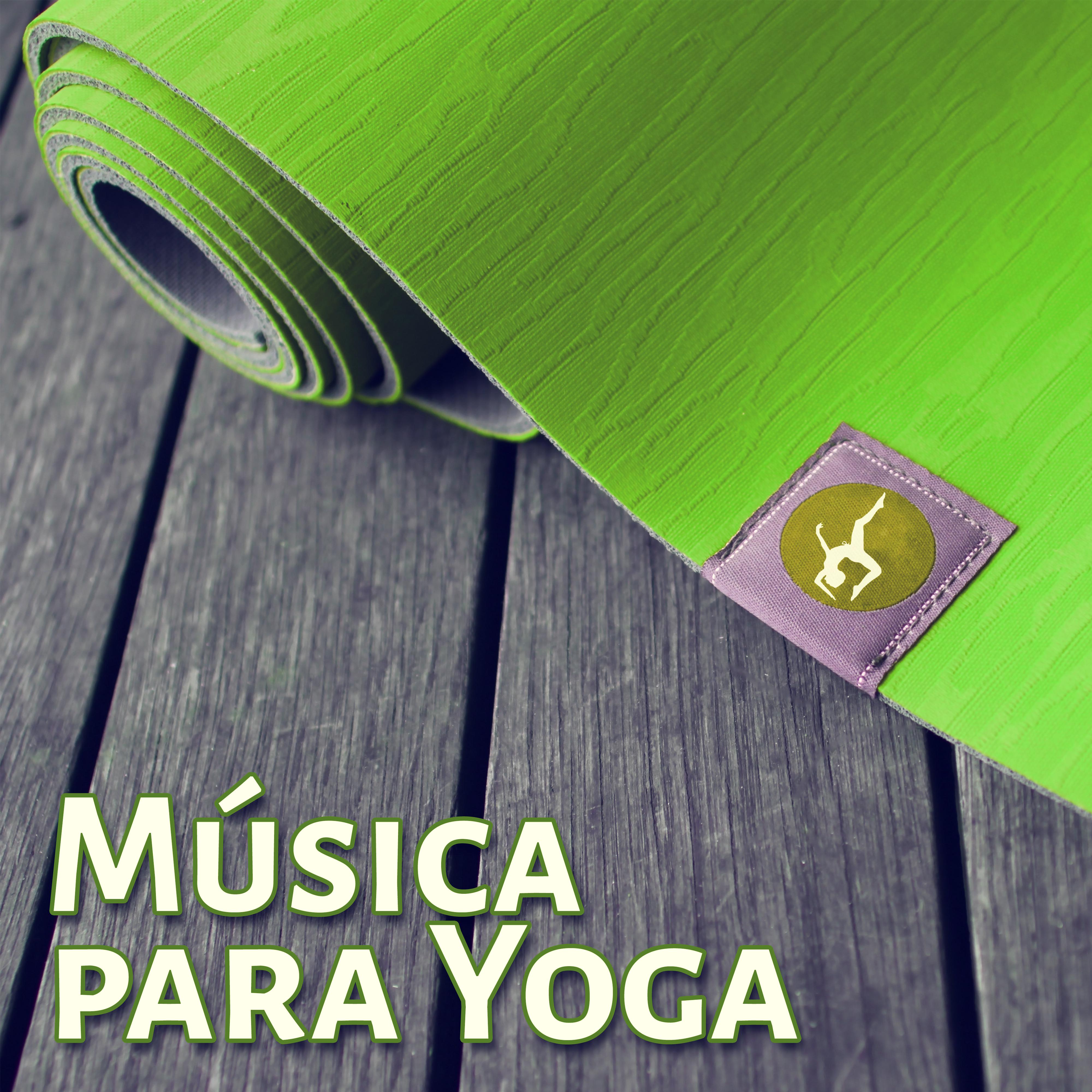 Mu sica para Yoga  Pra ctica del Yoga, Calma Interior, Meditar, Bien Etre, los Ejercicios de Pilates y Tai Chi, Sonidos de la Naturaleza, el Equilibrio del Cuerpo