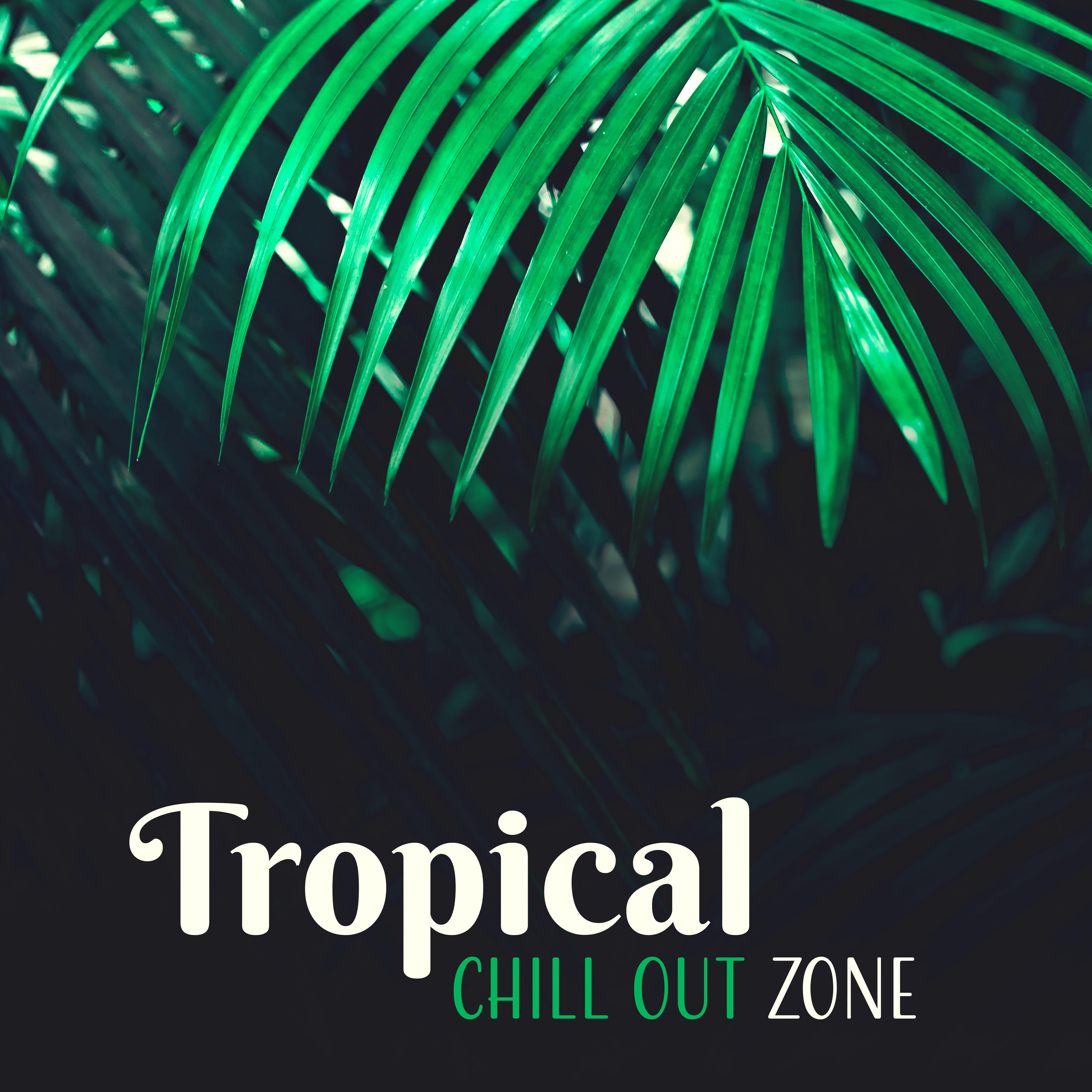 Tropical Chill Out Zone  Todays Chillout, Chill Out to Dance, Party Hits 2017, Relax, Exotic Beach