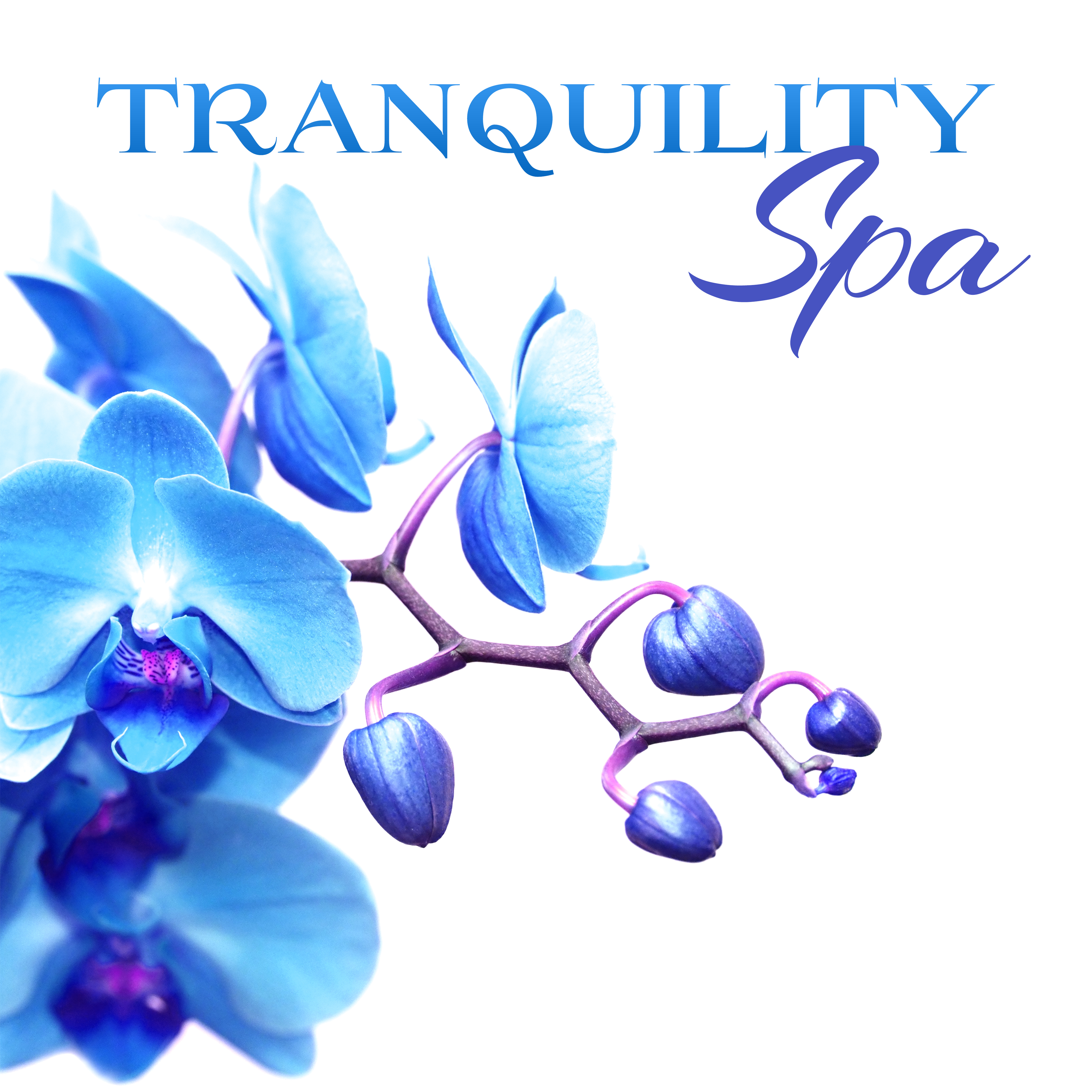 Tranquility Spa  Inner Harmony, Soft Spa Music, New Age 2017, Pure Relaxation, Massage Music, Zen