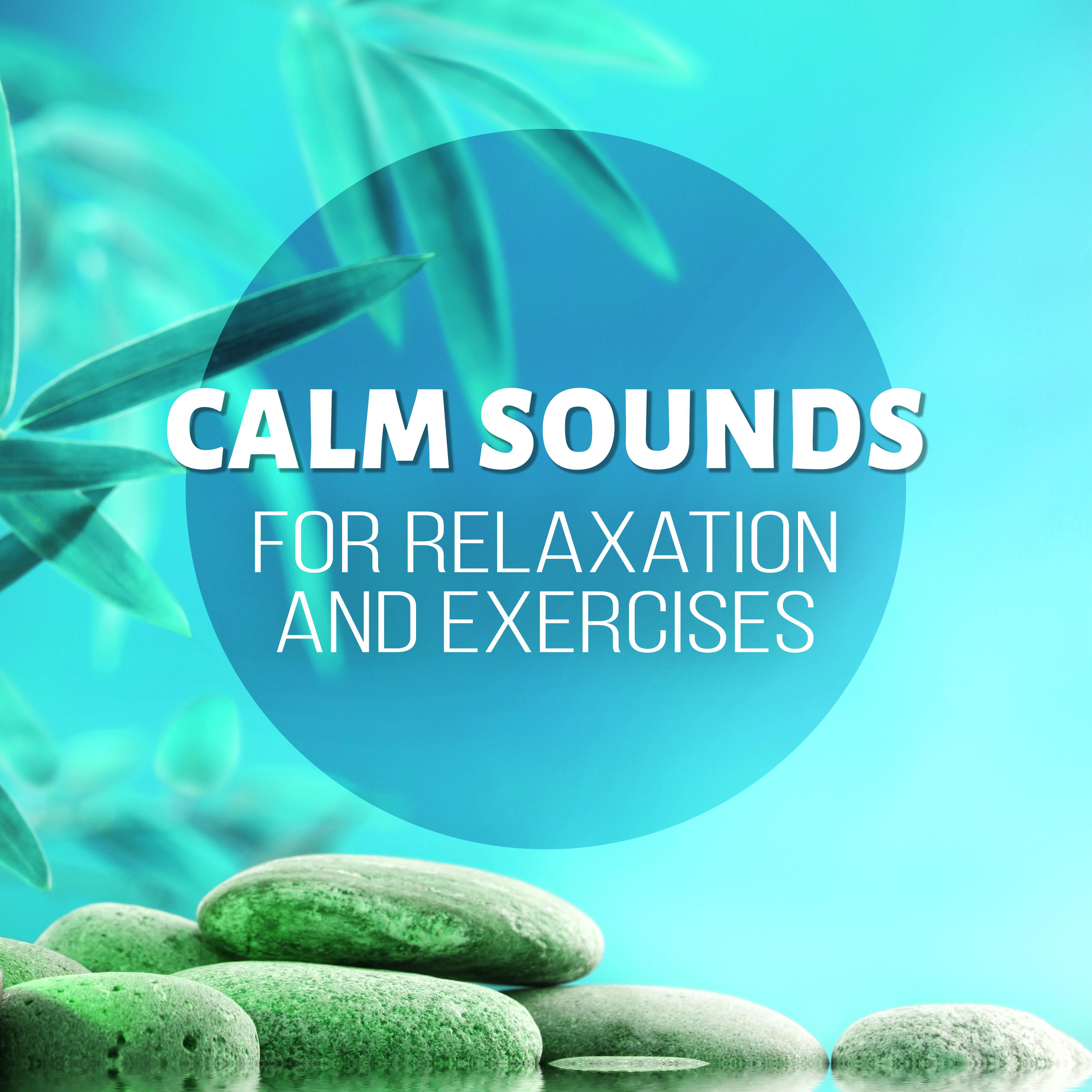 Calm Sounds for Relaxation and Exercises - Music for Stretching, Pilates & Yoga, New Age Music for Backpain Exercises for Women, Pregnancy Exercises and Workouts