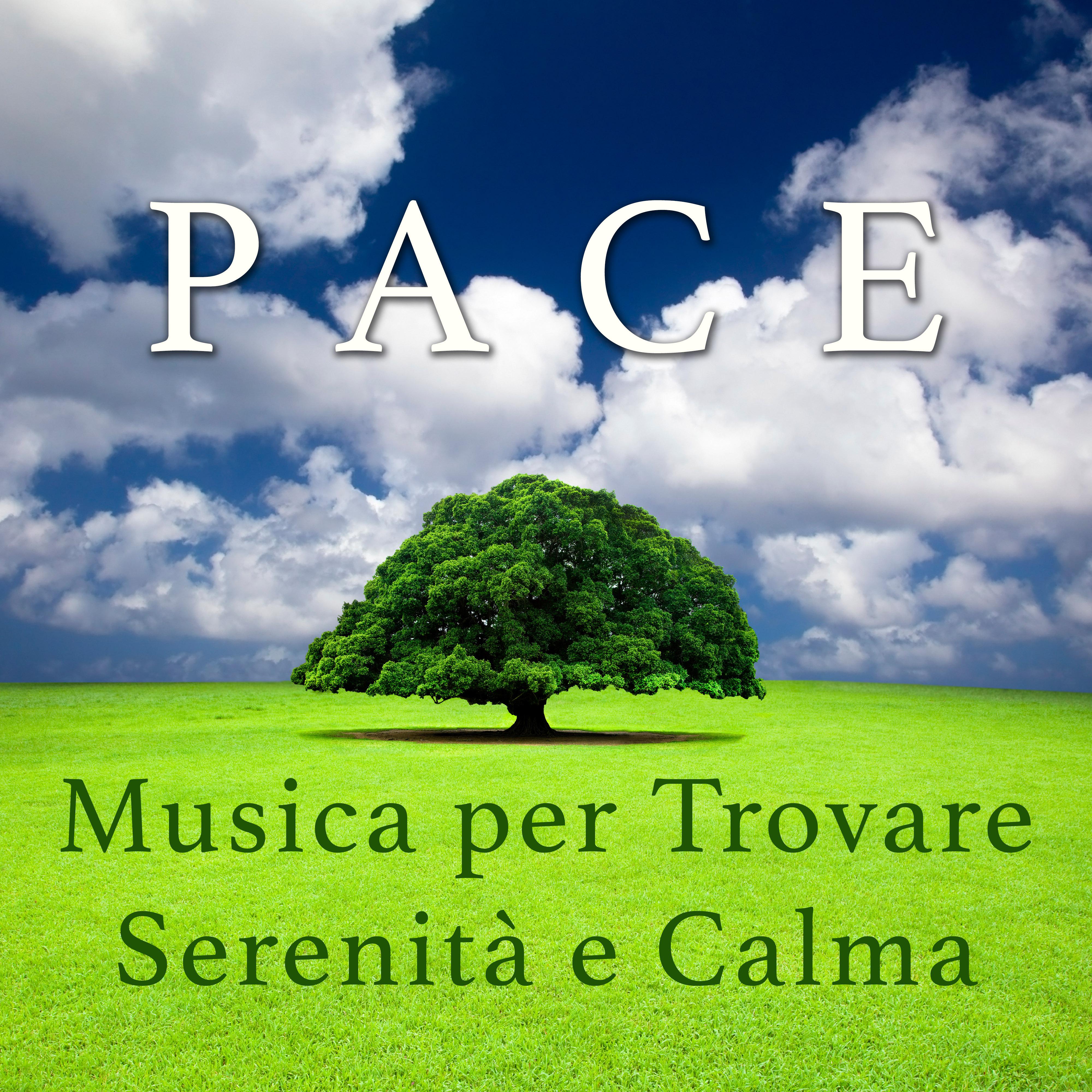 Pace  Musica per Trovare Serenita e Calma