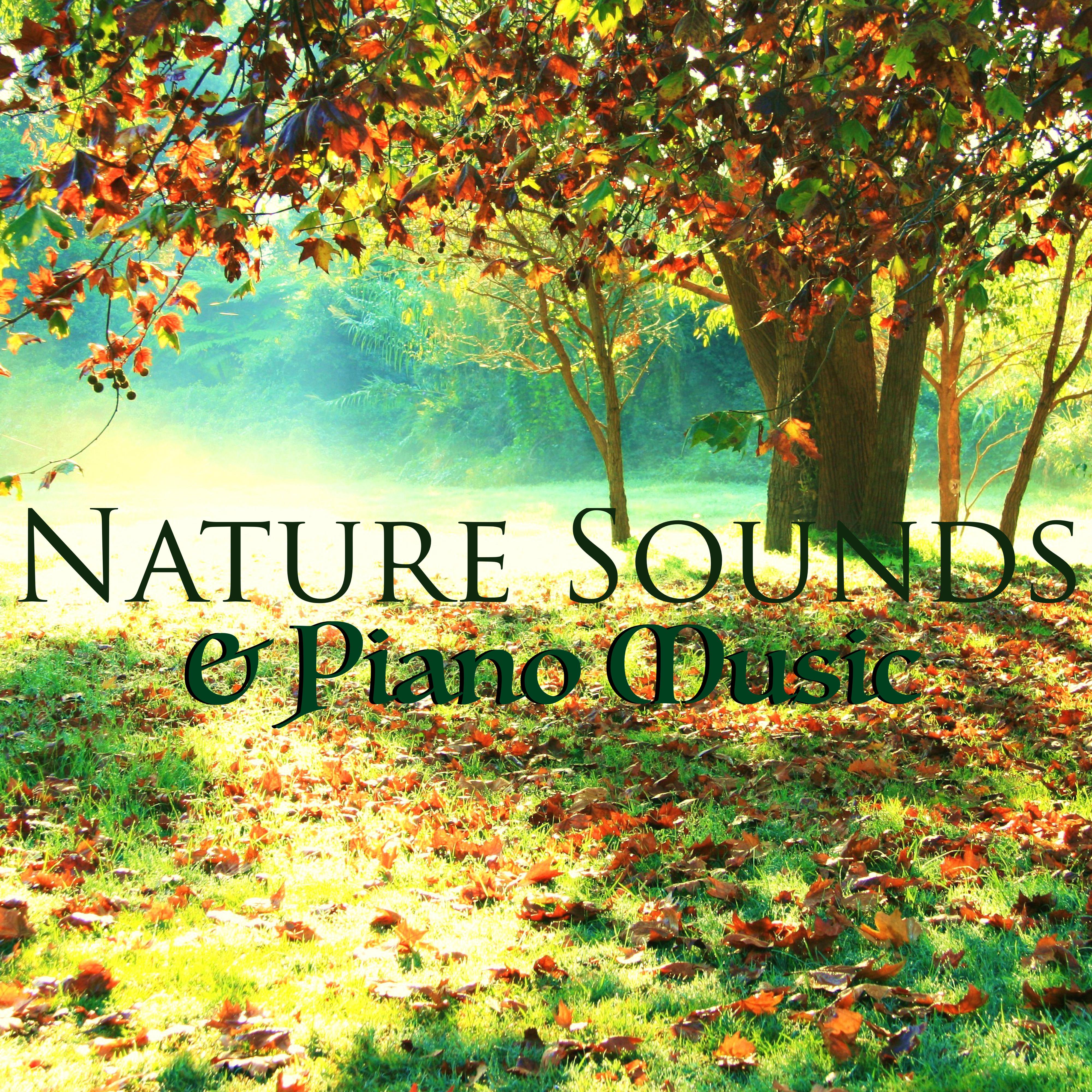 Nature Sounds & Piano Music - Relaxing Meditation Music with Sound of Nature