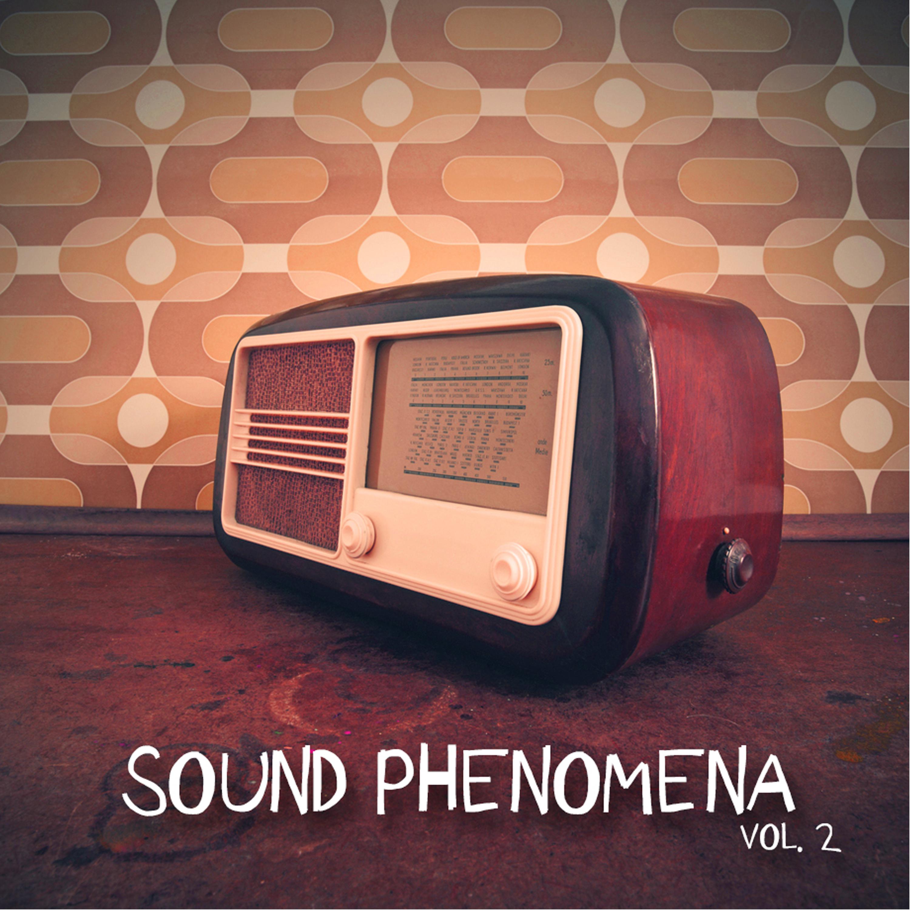 Sound Phenomena, Vol. 2