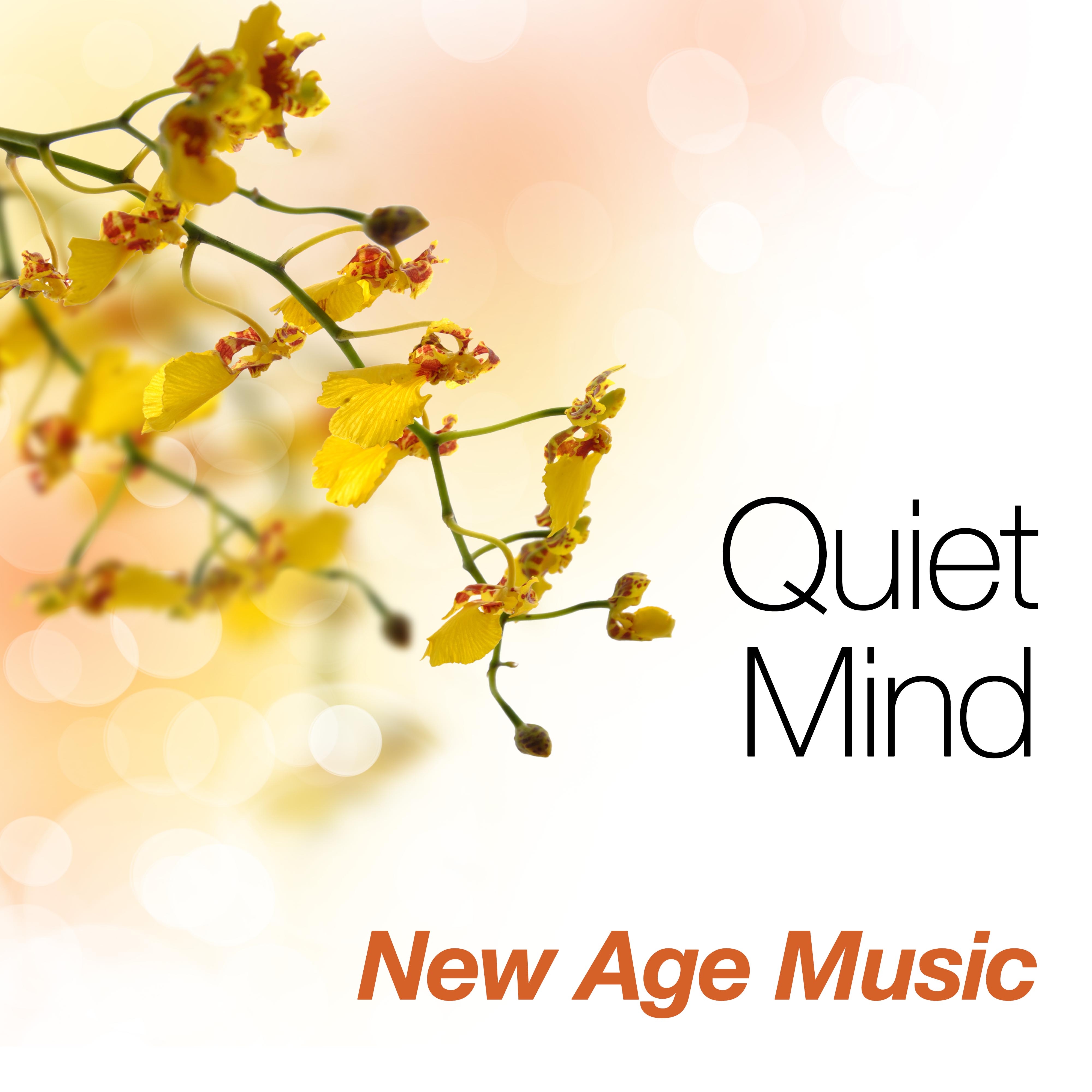 Quiet Mind: New Age Music for Tai Chi, Qigong, Reiki and Yoga for your Inner Peace with Special Sounds of Nature like Rain and Ocean Waves