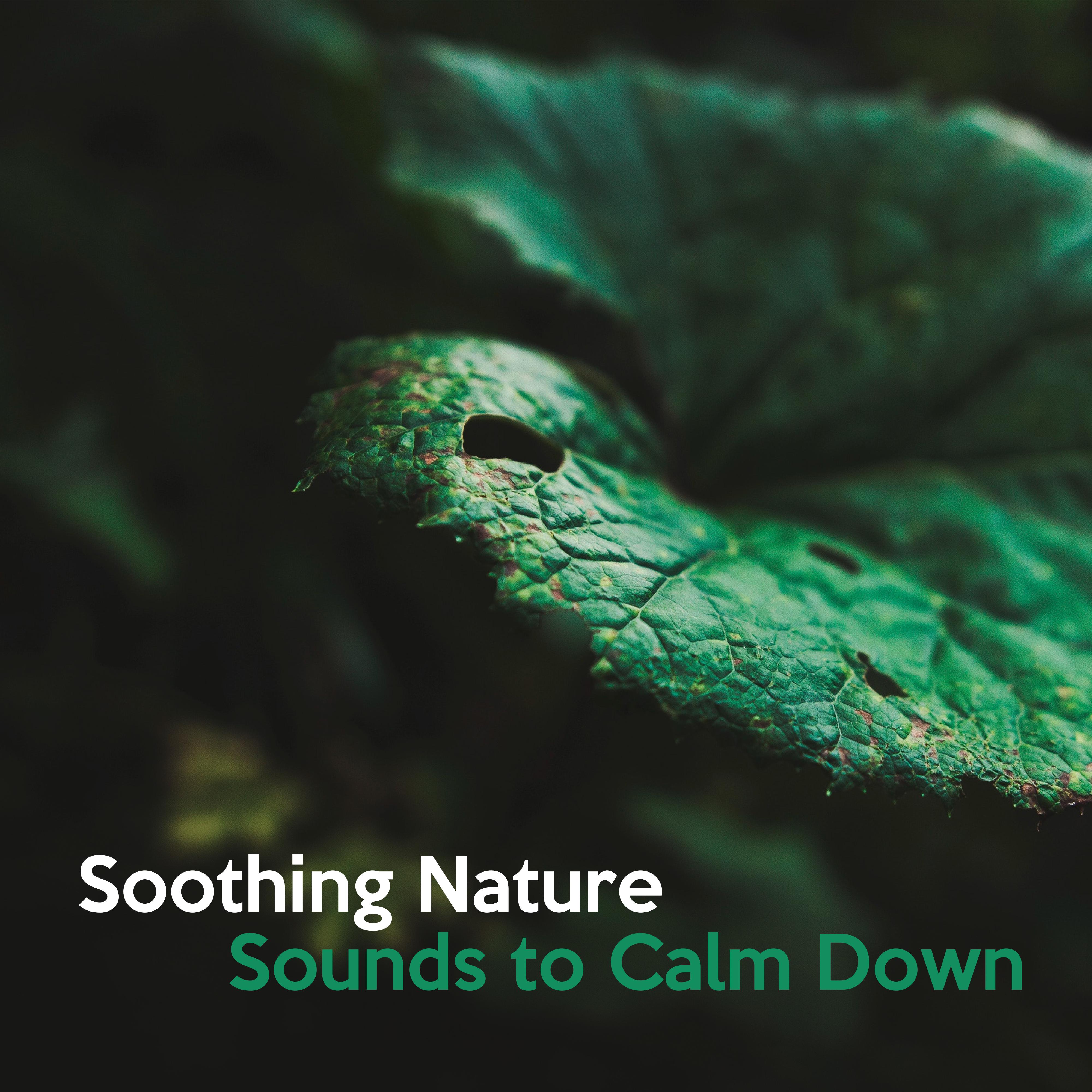 Soothing Nature Sounds to Calm Down  Peaceful Nature Waves, Spiritual Journey, Inner Calmness, Stress Free, New Age Music
