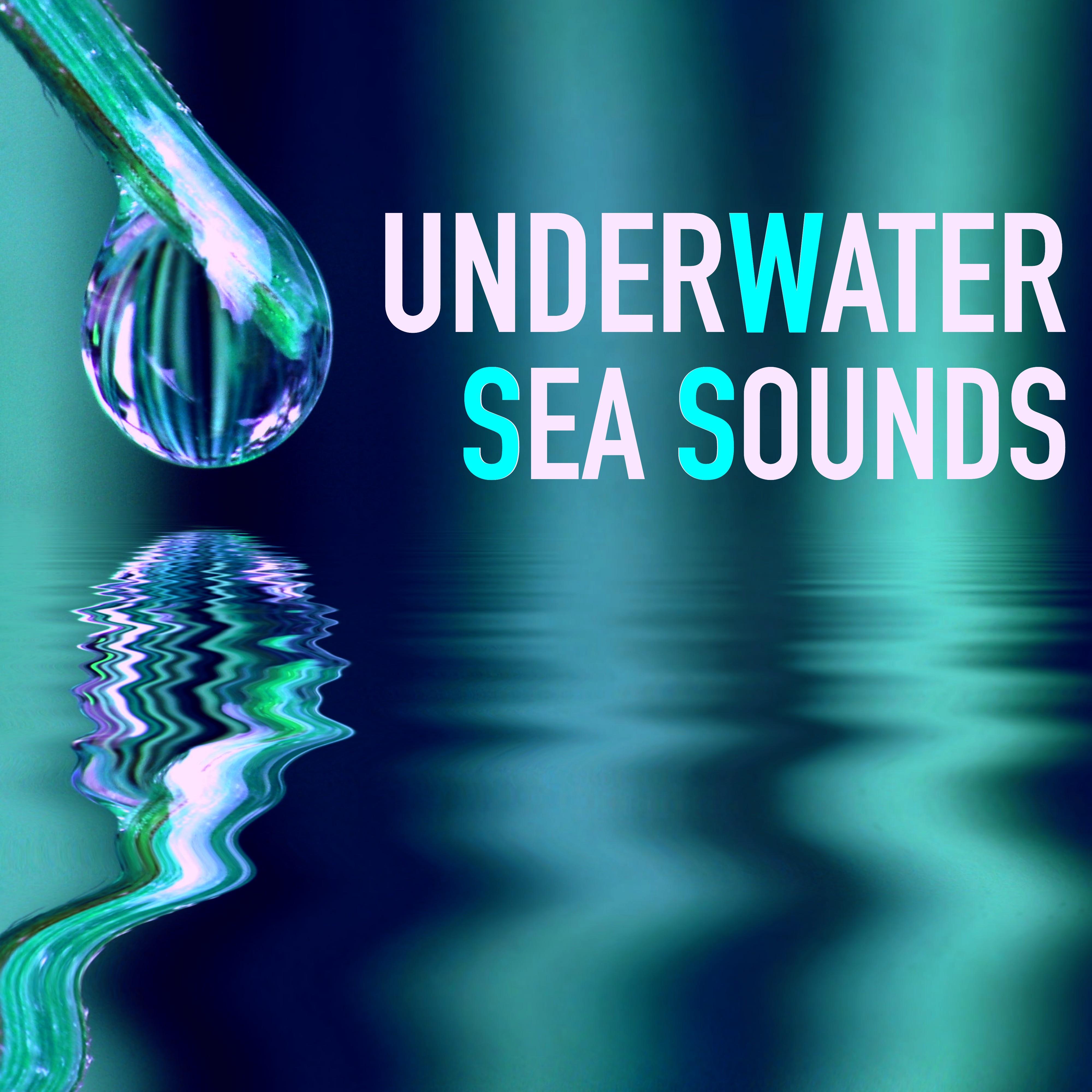 Underwater Sea Sounds - Binaural Underwater Recordings for Deep Relaxation, Deep Sleep Curing Insomnia and Stress - Relax Your Mind with Underwater Sounds of Nature