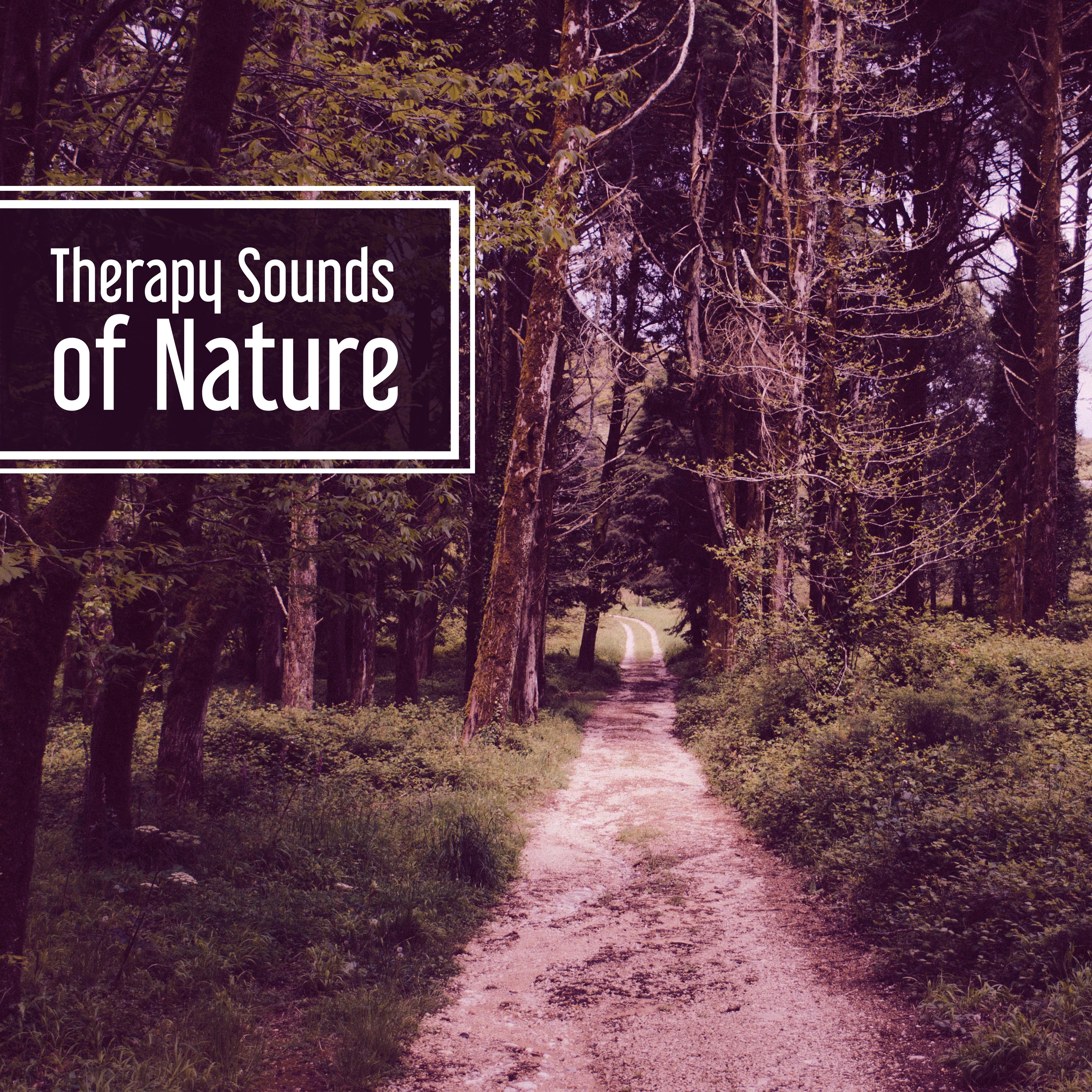 Therapy Sounds of Nature  Deep Meditation, Music for Relaxation, Sea Waves, Soothing Rain, Singing Birds, Deep Sleep
