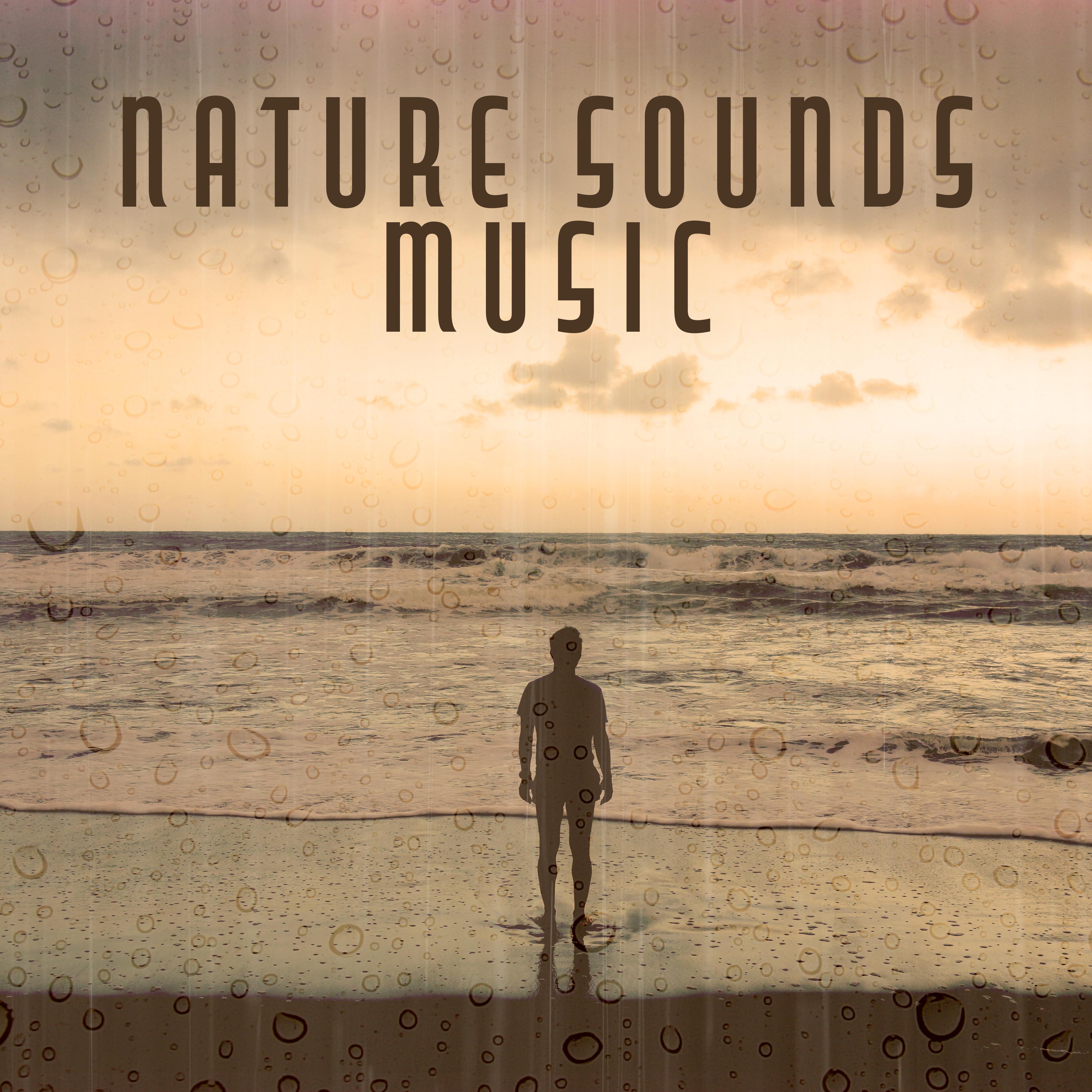 Nature Sounds Music  Relaxing Waves of Calmness, Stress Relief, Peaceful New Age