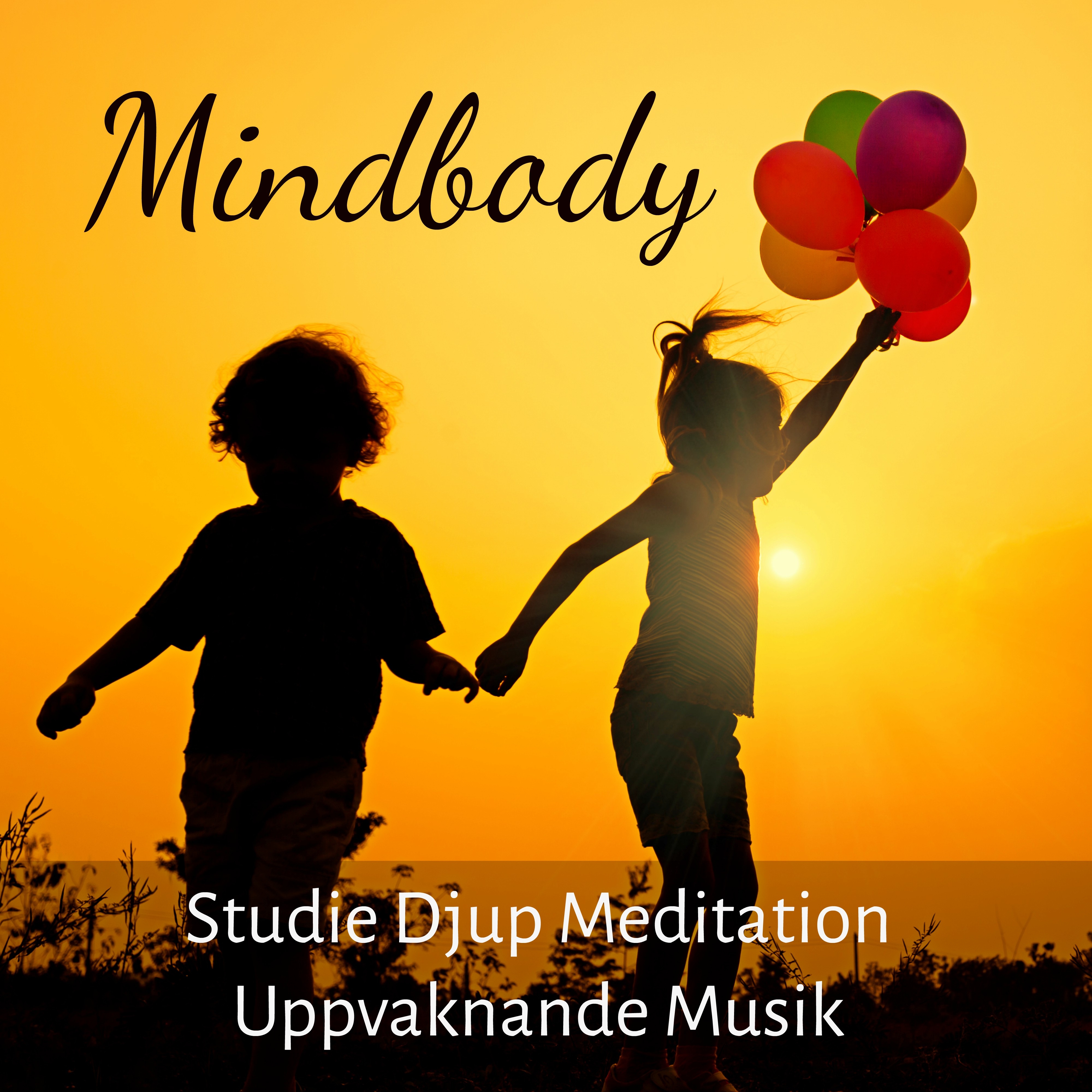 Mindbody  Studie Djup Meditation Uppvaknande Musik f r Klardr mmar F rb ttra Koncentration och Meditationstekniker