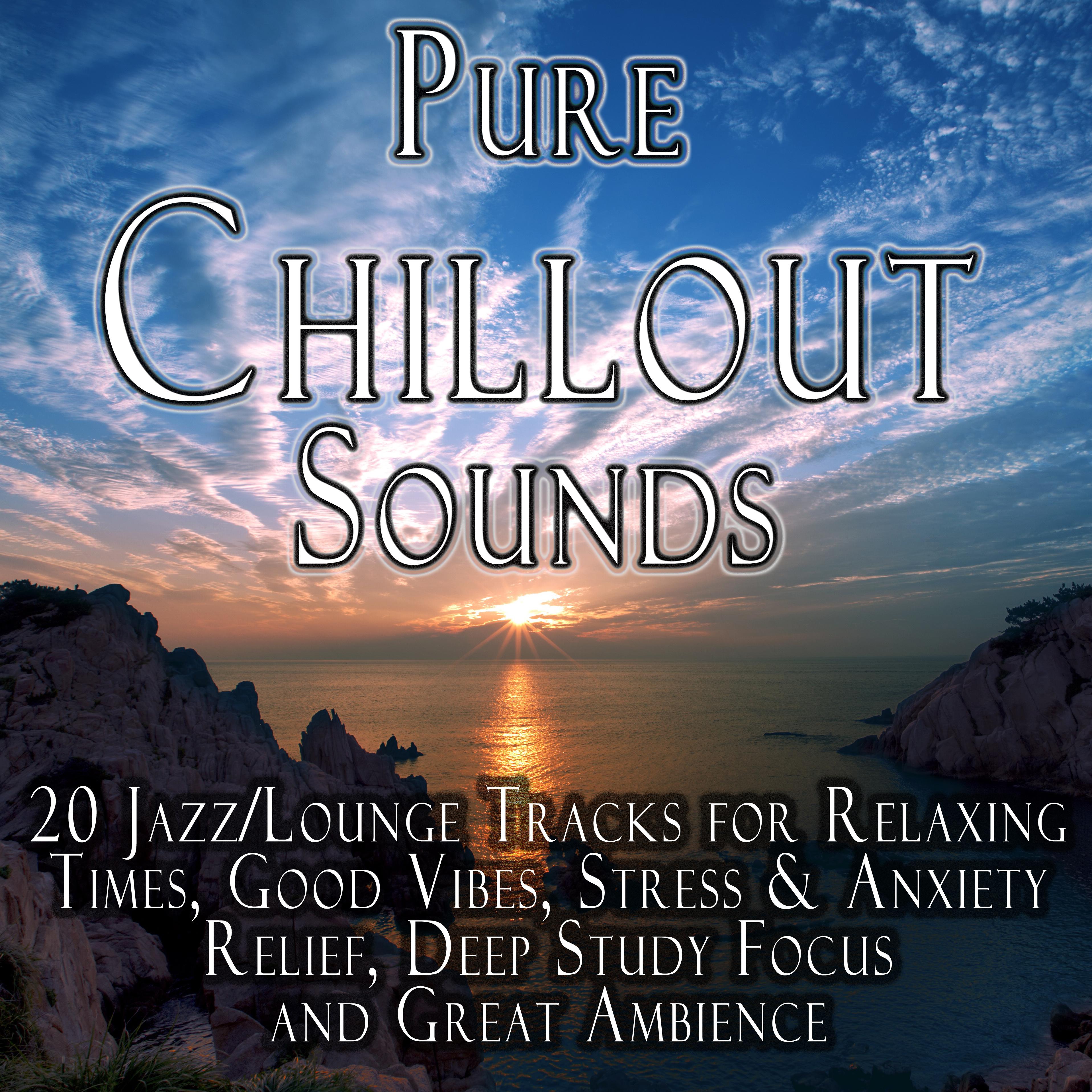 Pure Chillout Sounds - 20 Ambient/Lounge Tracks for Relaxing Times, Good Vibes, Stress & Anxiety Relief, Deep Study Focus and Great Ambience