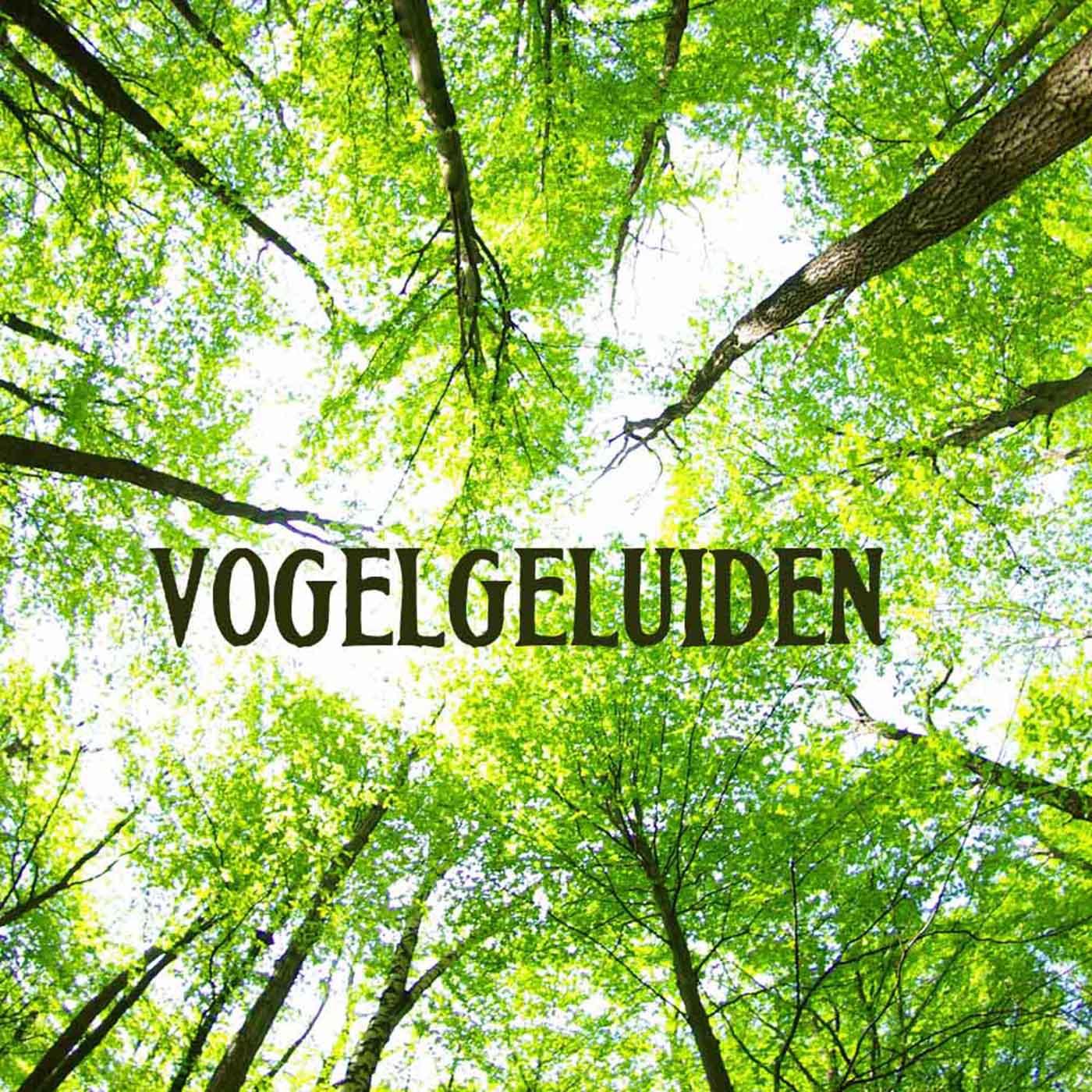 Vogelgeluiden (Muziektherapie, Meditatie Muziek voor Ontspanning, Rest, Ontspannen, Massage en Slapen)