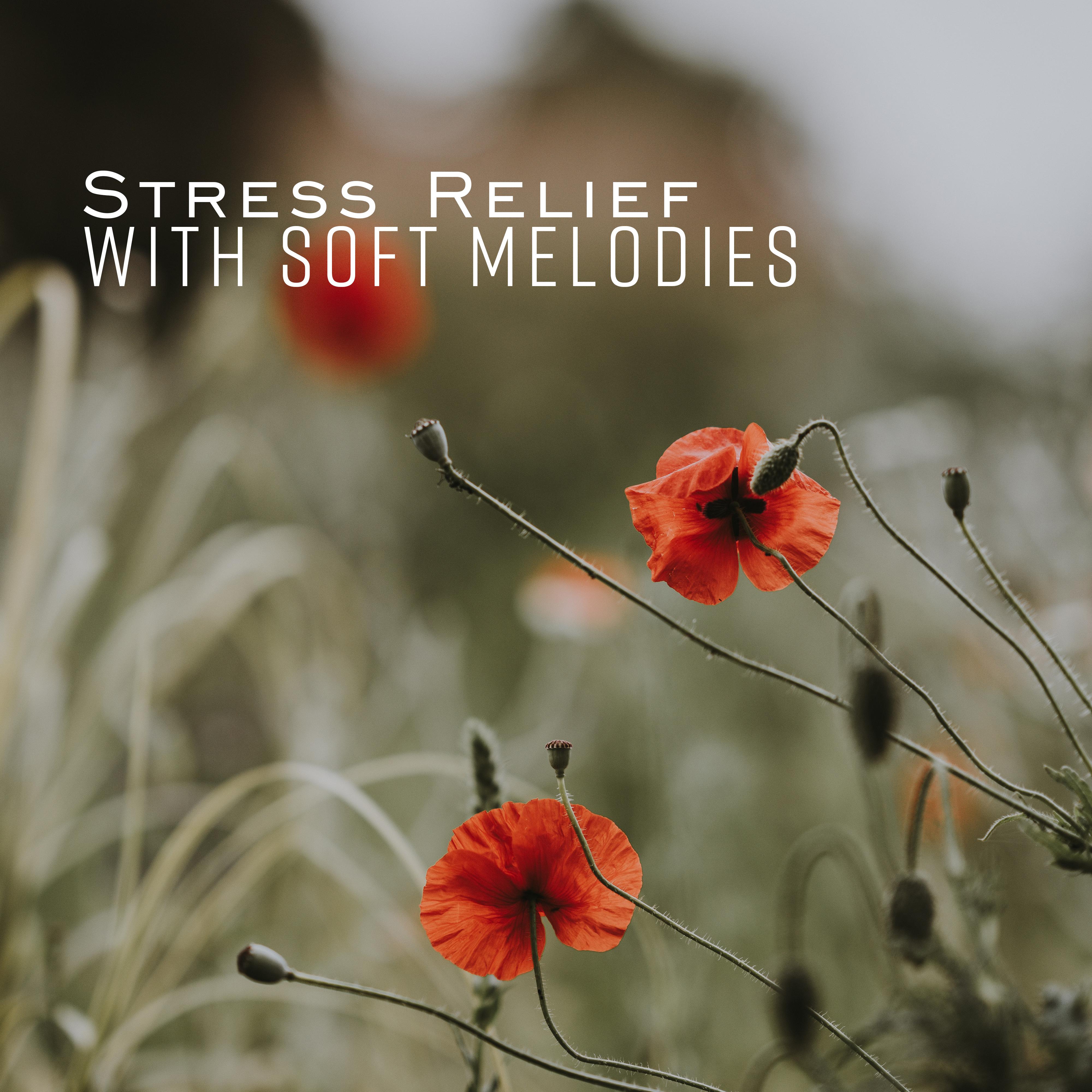 Stress Relief with Soft Melodies