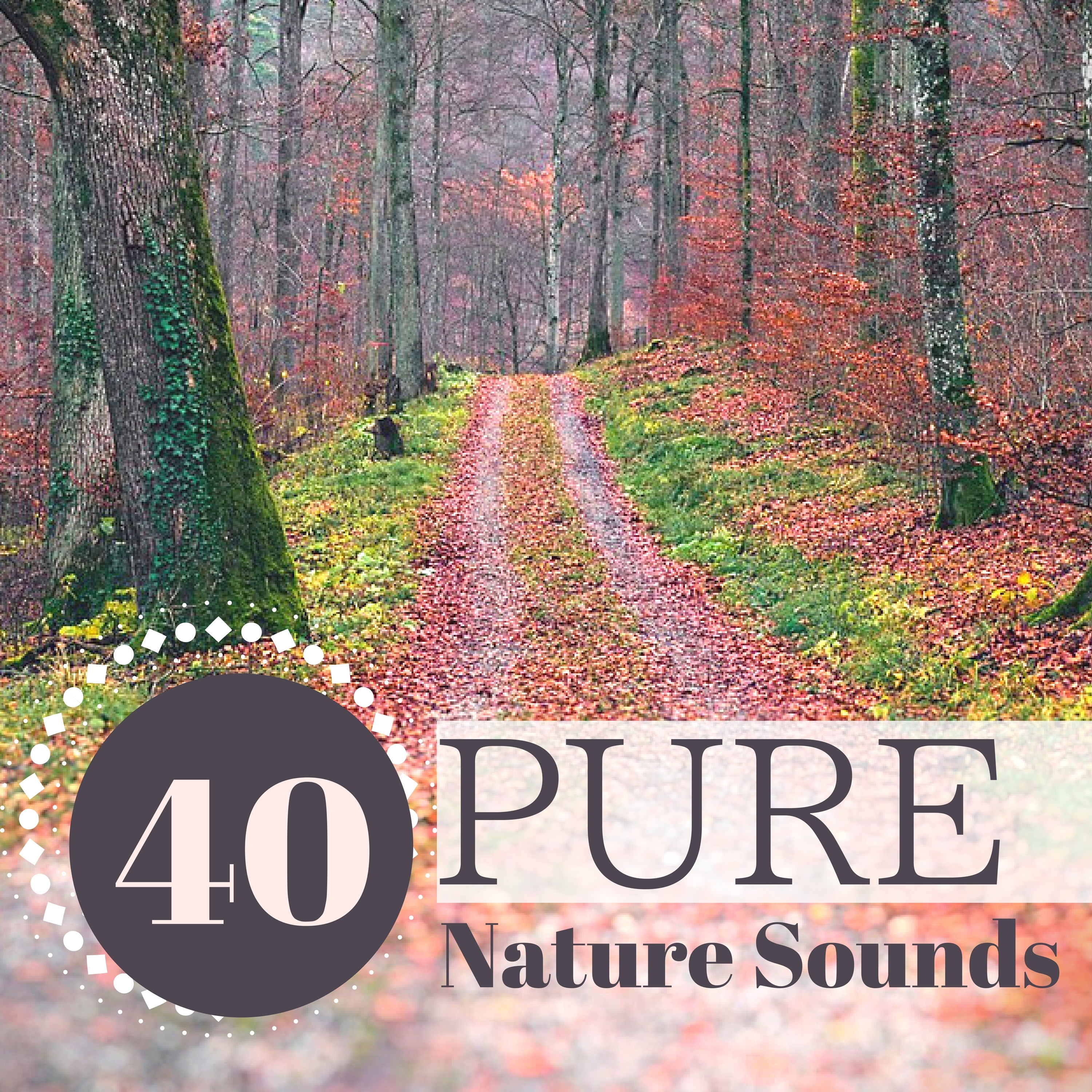 Nature Sounds